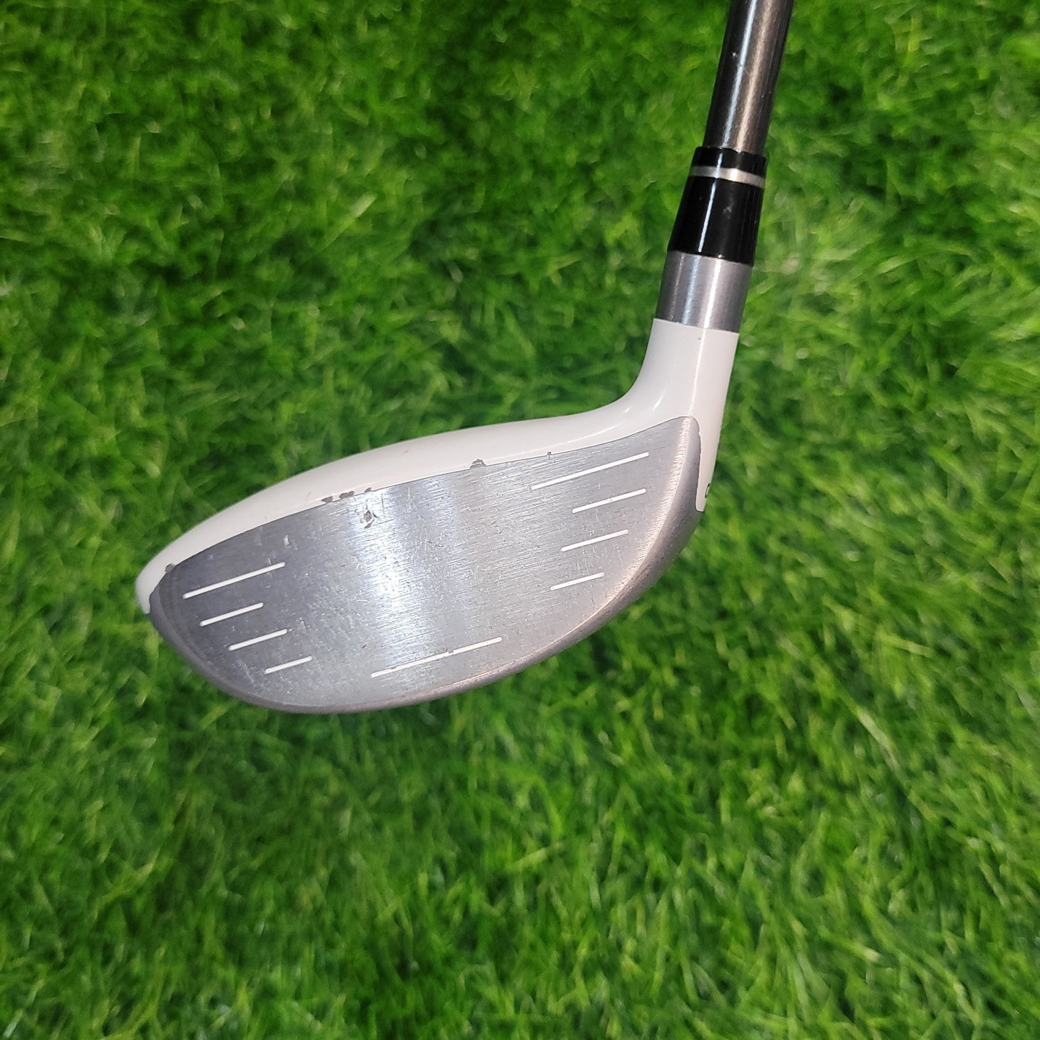 HONMA Wood / T-W XP-1 / 5W   / Women / L