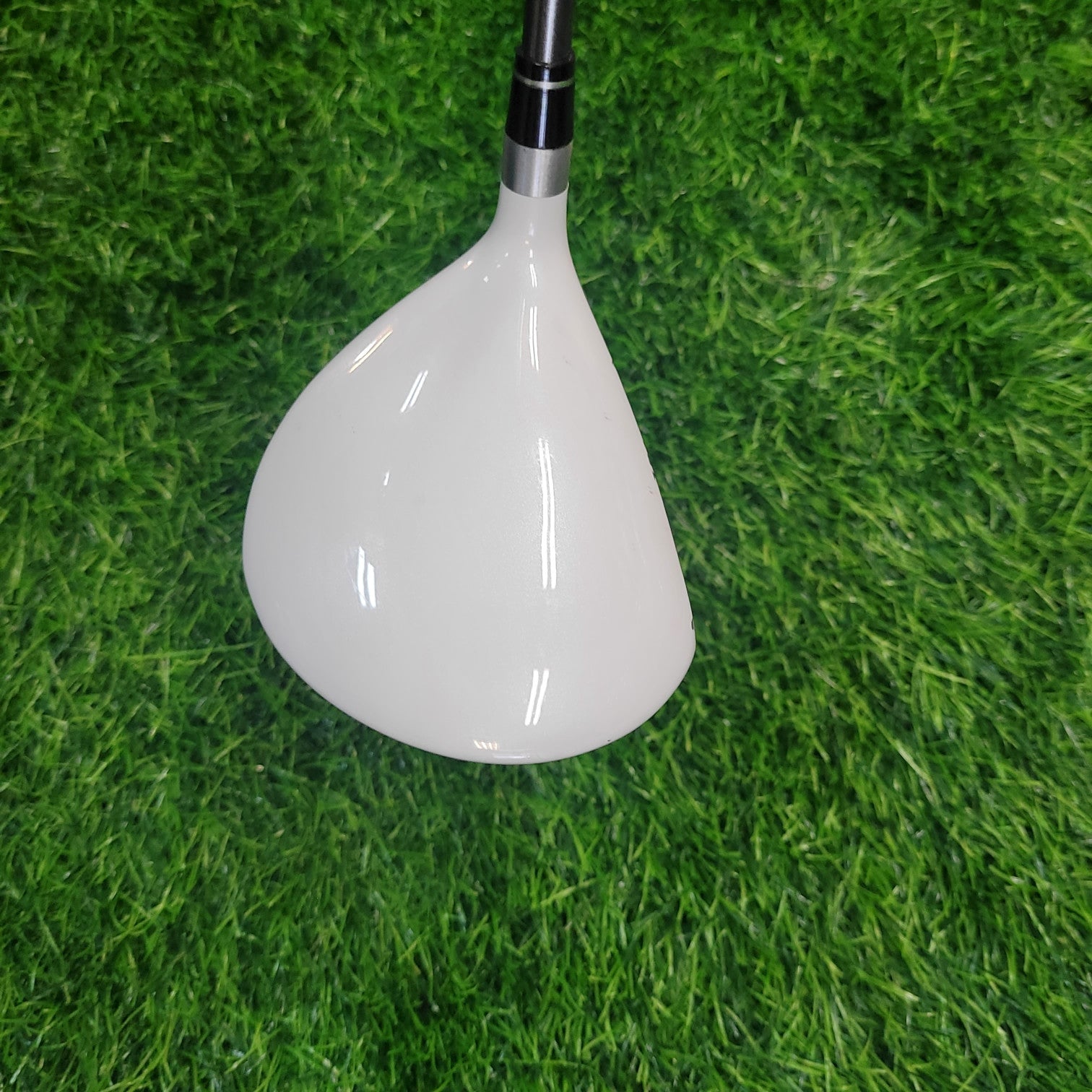 HONMA Wood / T-W XP-1 / 5W   / Women / L