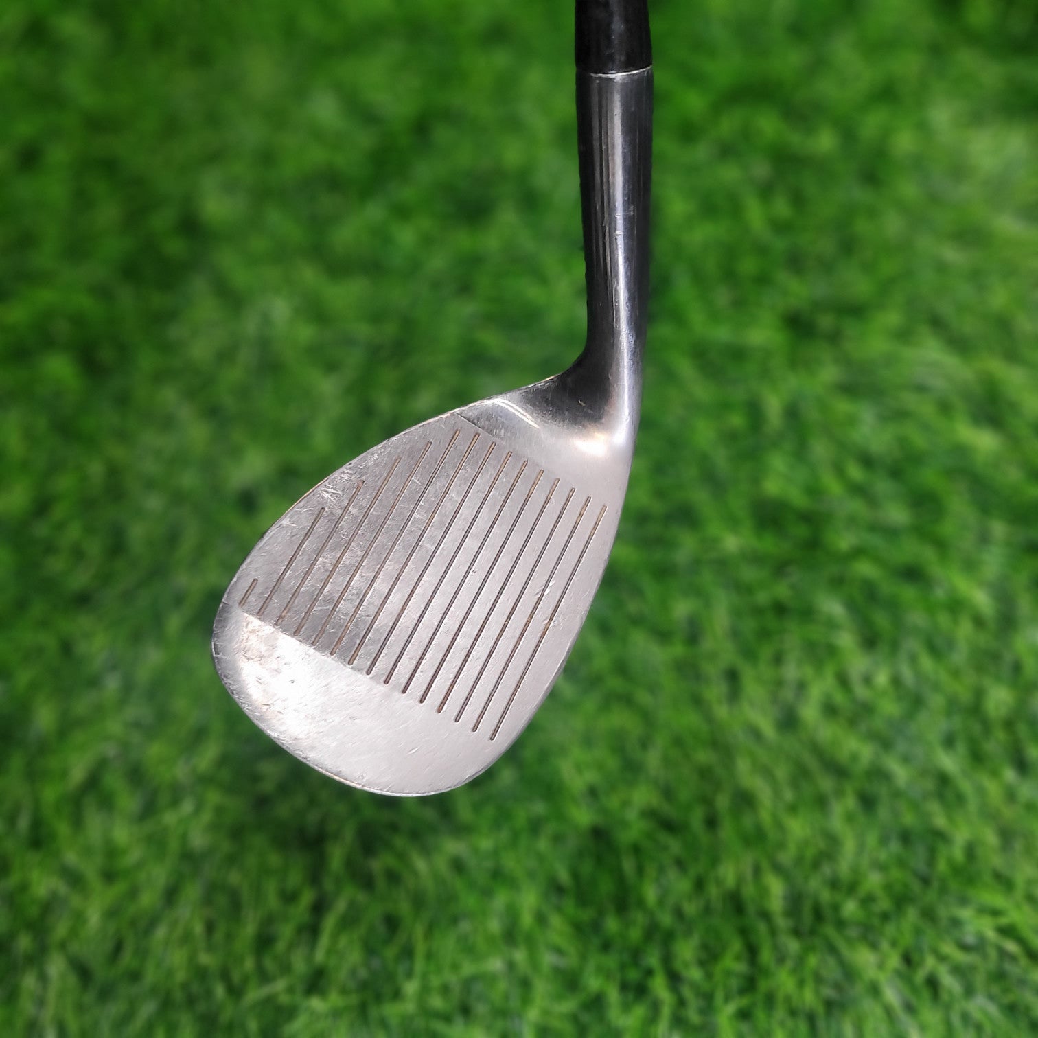 Wilson Wedge / Harmonized / 55.0