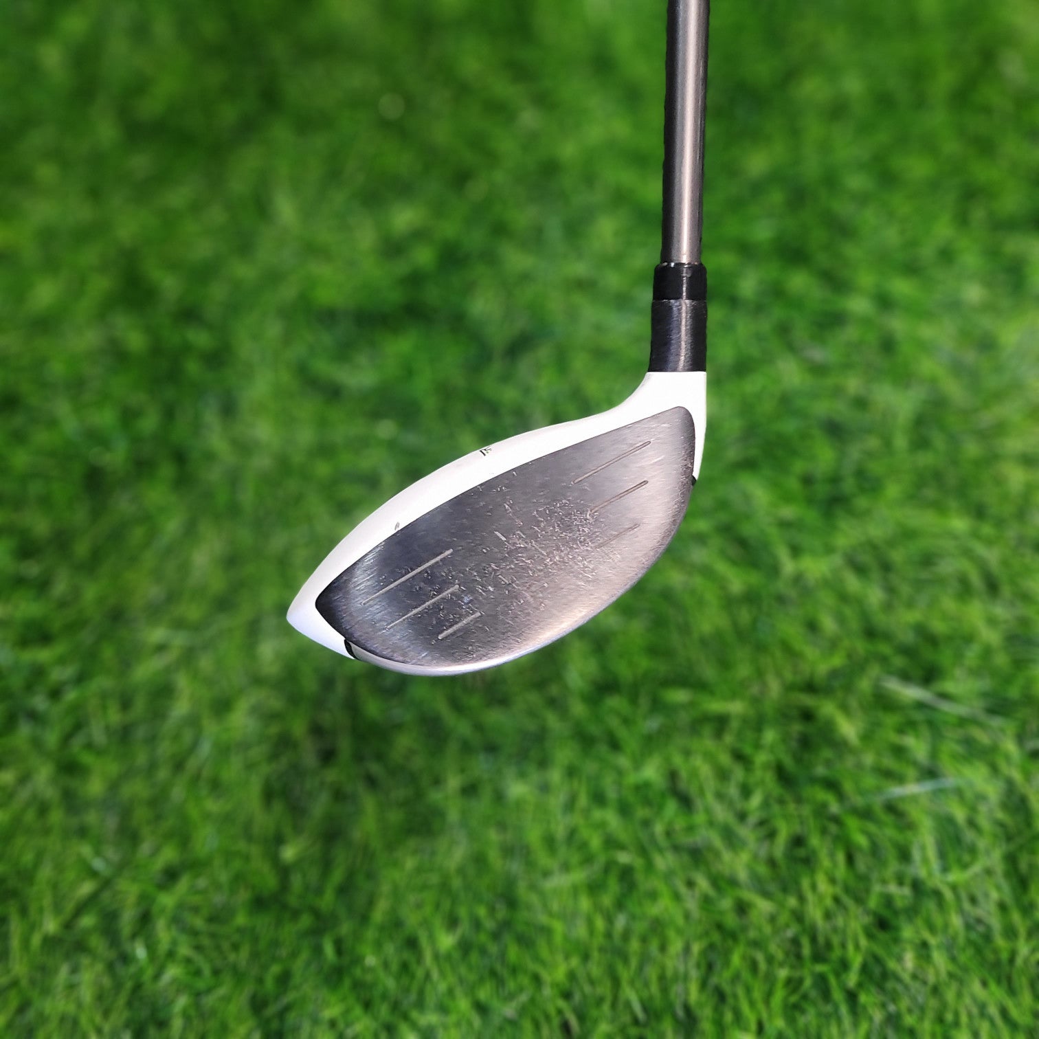 TaylorMade Wood / RBZ / 7W(21.0) / Women / L