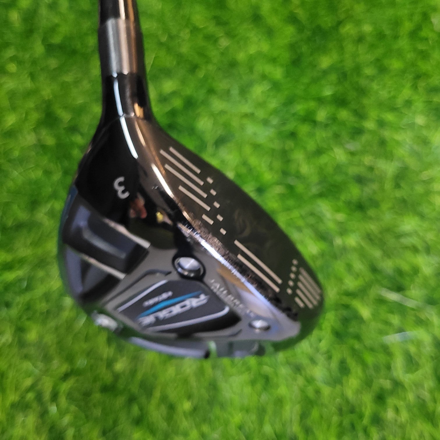 Callaway  Wood / ROGUE STAR / 3W / Lefty / R(S)