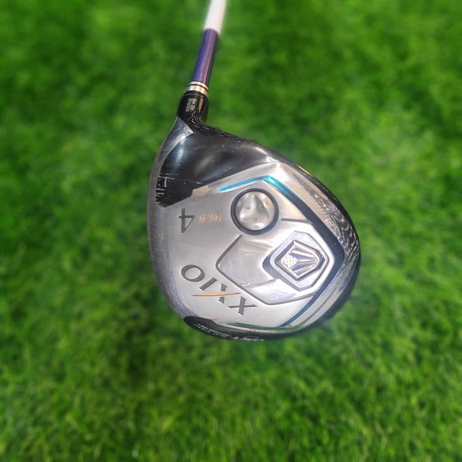 XXIO Wood / XXIO 8 / 4W / 16.5° / R