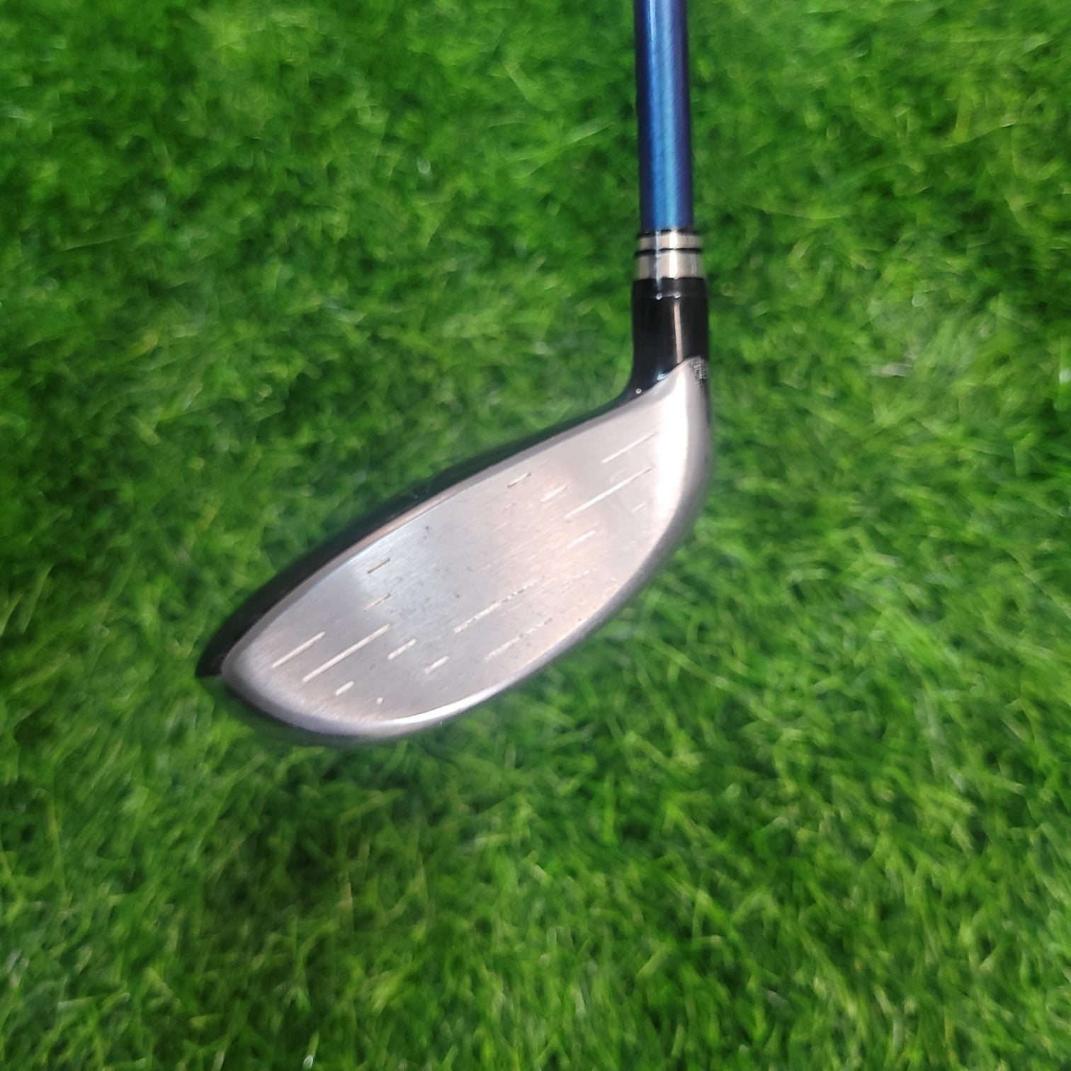 XXIO Wood / XXIO 8 / 4W / 16.5° / R