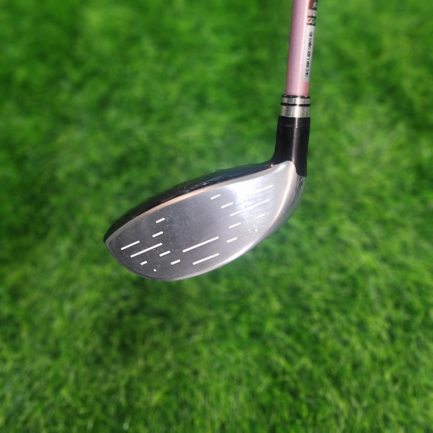 XXIO Wood / XXIO 8 / 4W / 18.0° / Women / L