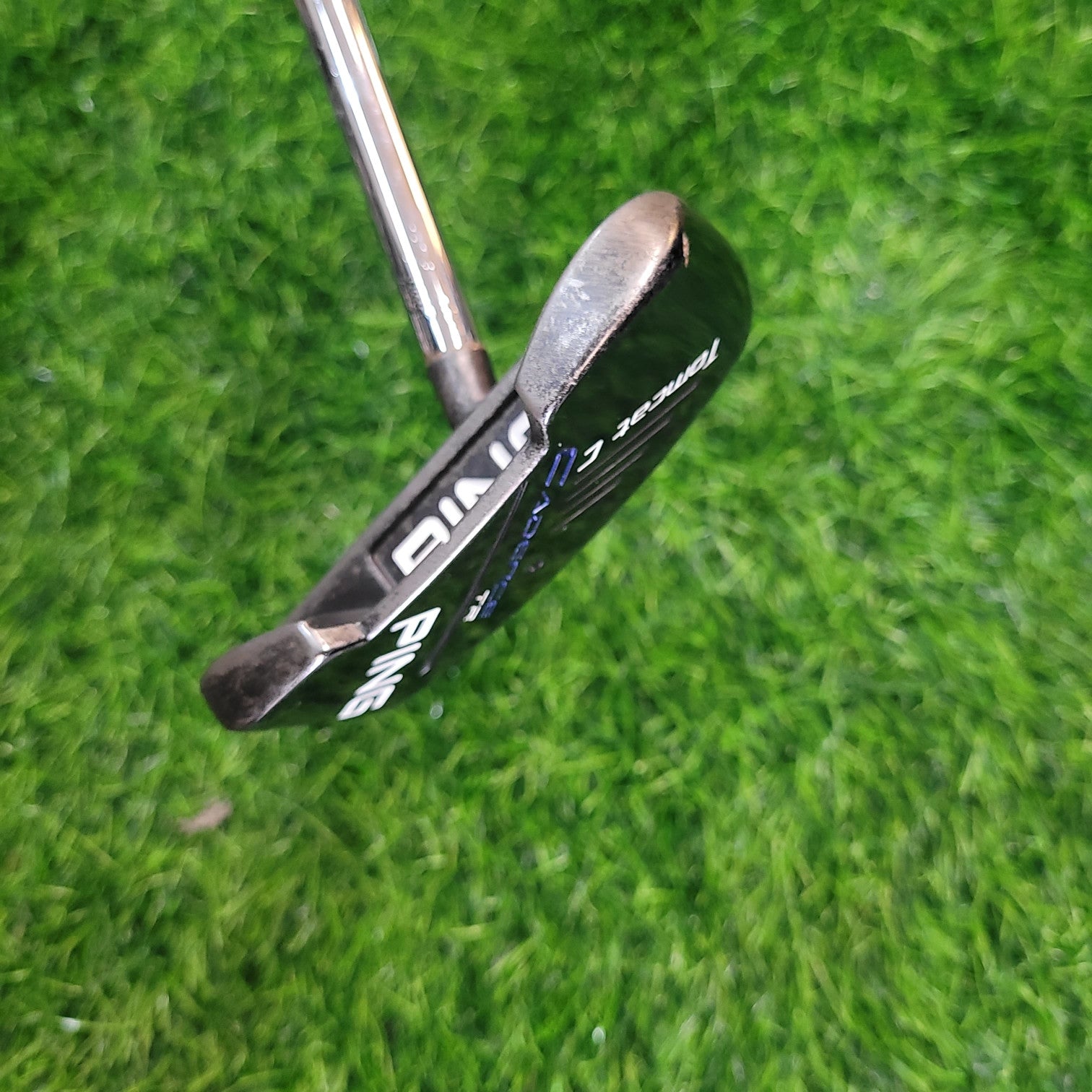 PING Putter / CADENCE TR Tomcat C /  Lefty