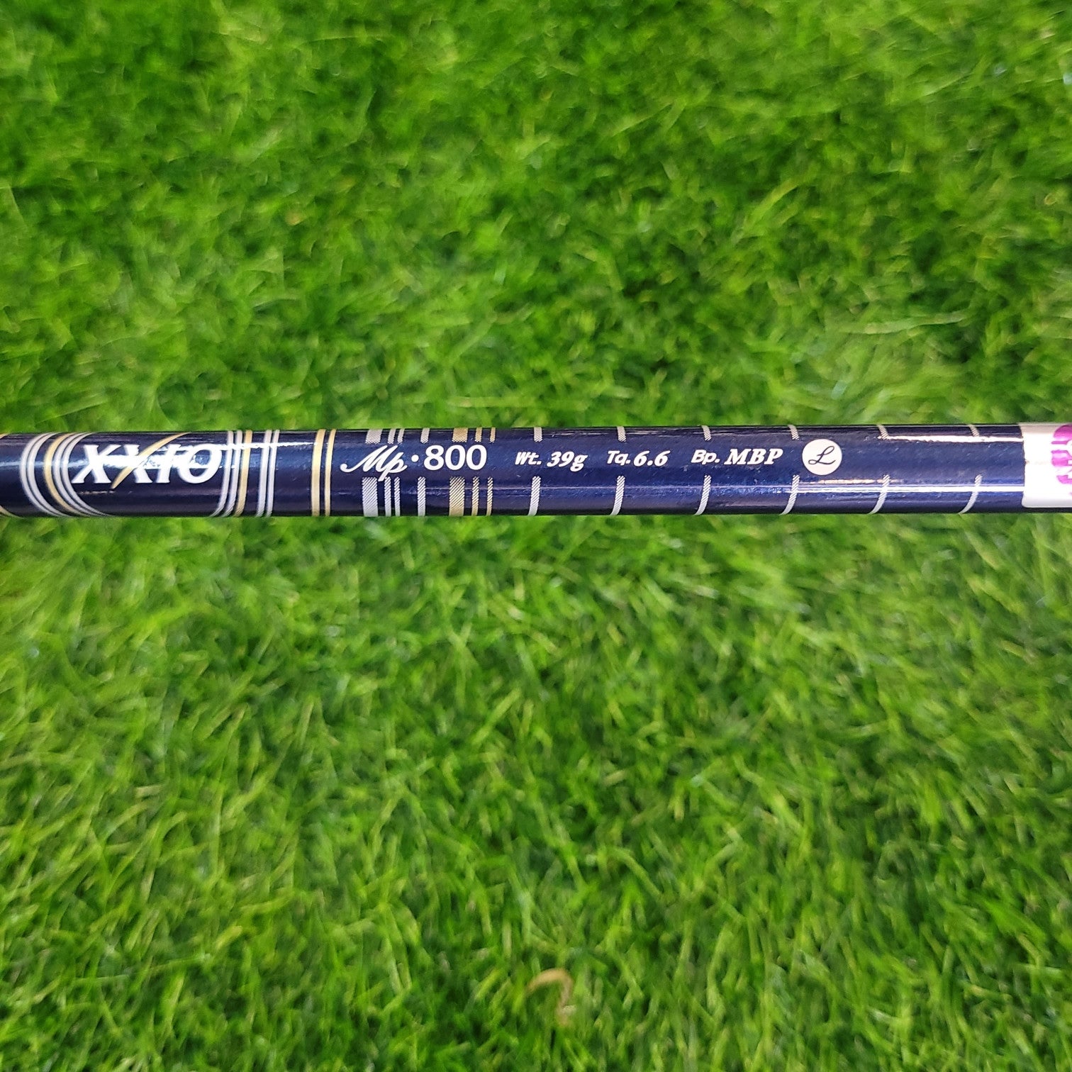 XXIO Wood / XXIO 8 / 3W / Women
