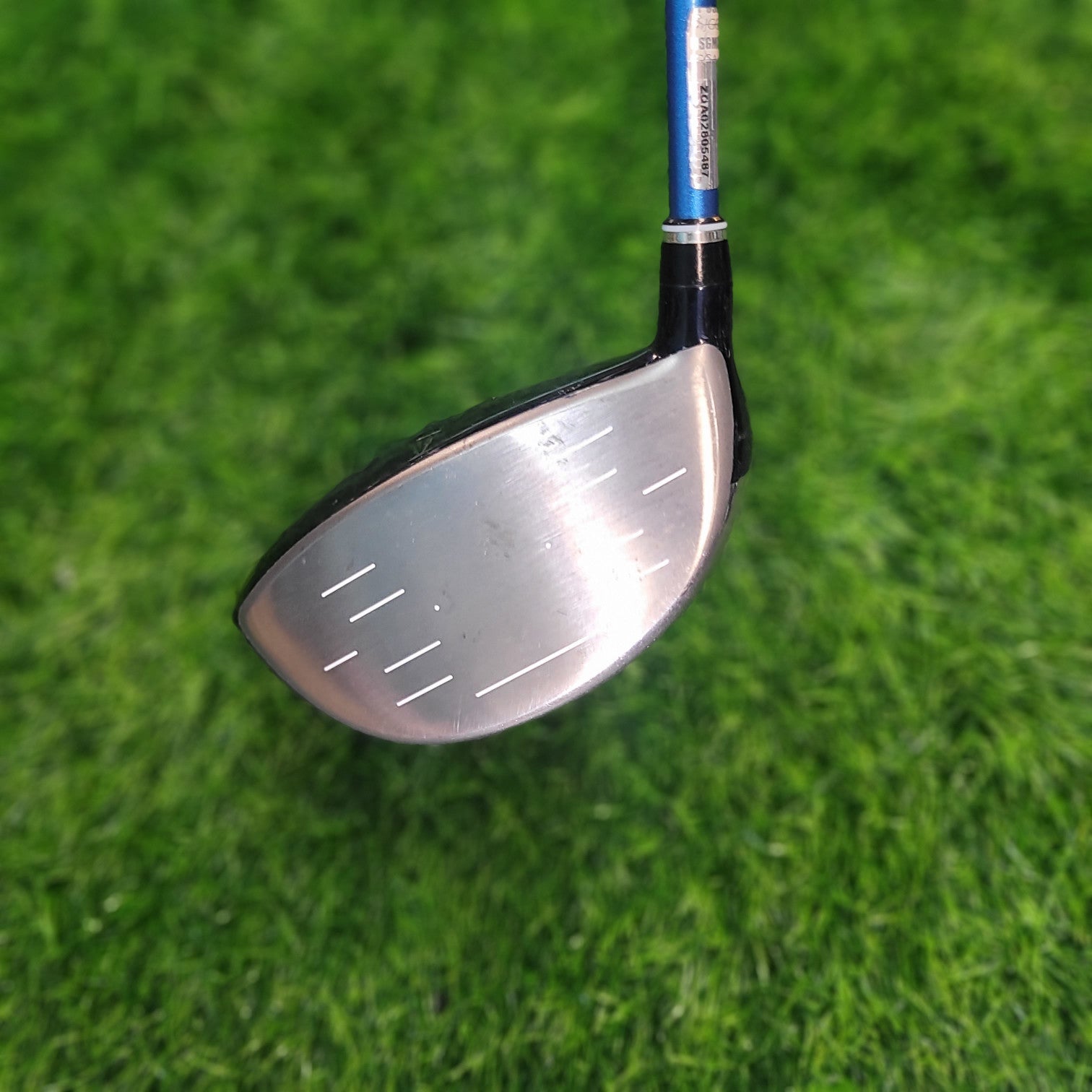 XXIO Driver / XXIO 10 / 12.5° /  Women