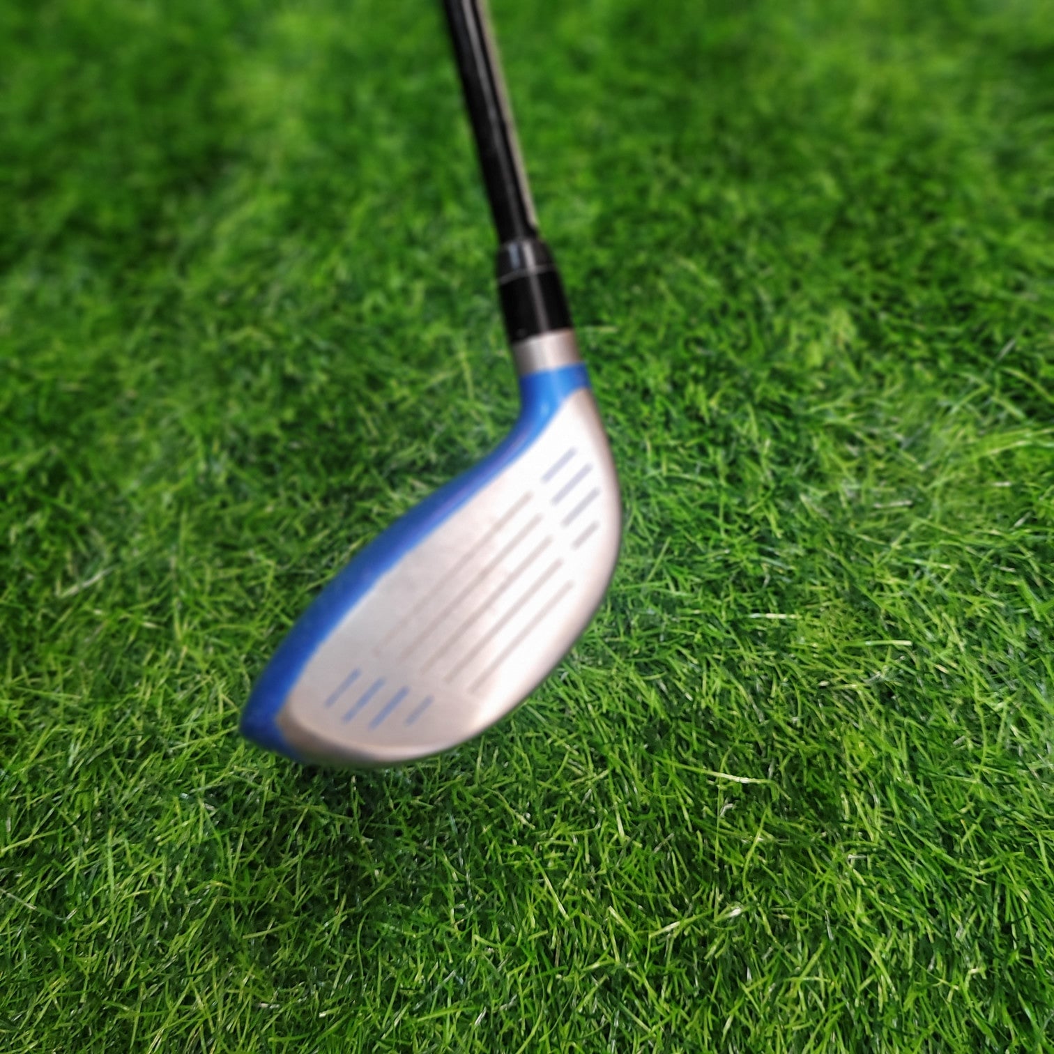 NIKE Wood / VAPOR FLY / 5W / 19.0 / Women