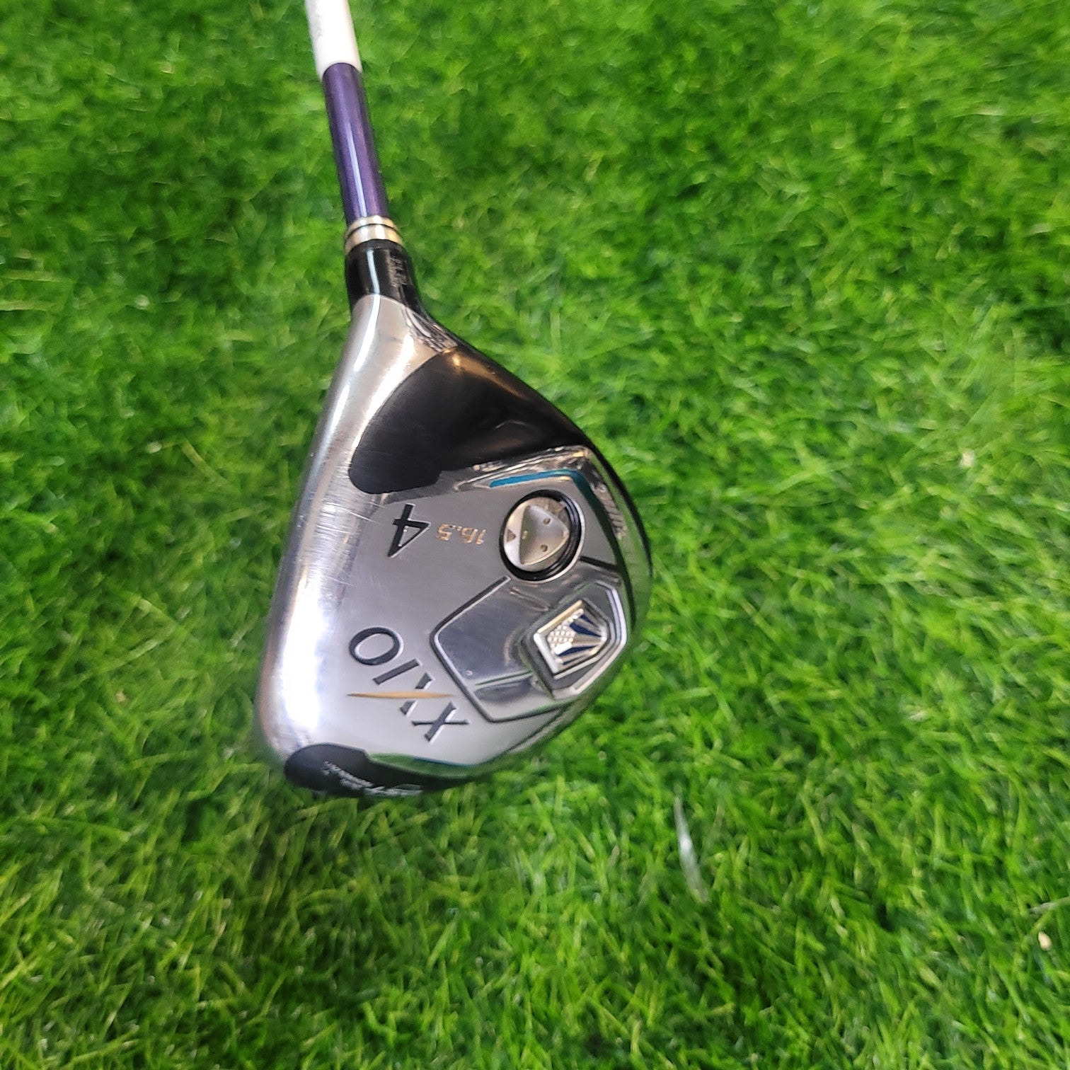 XXIO Wood / XXIO 8 / 4W / 16.5°/ R