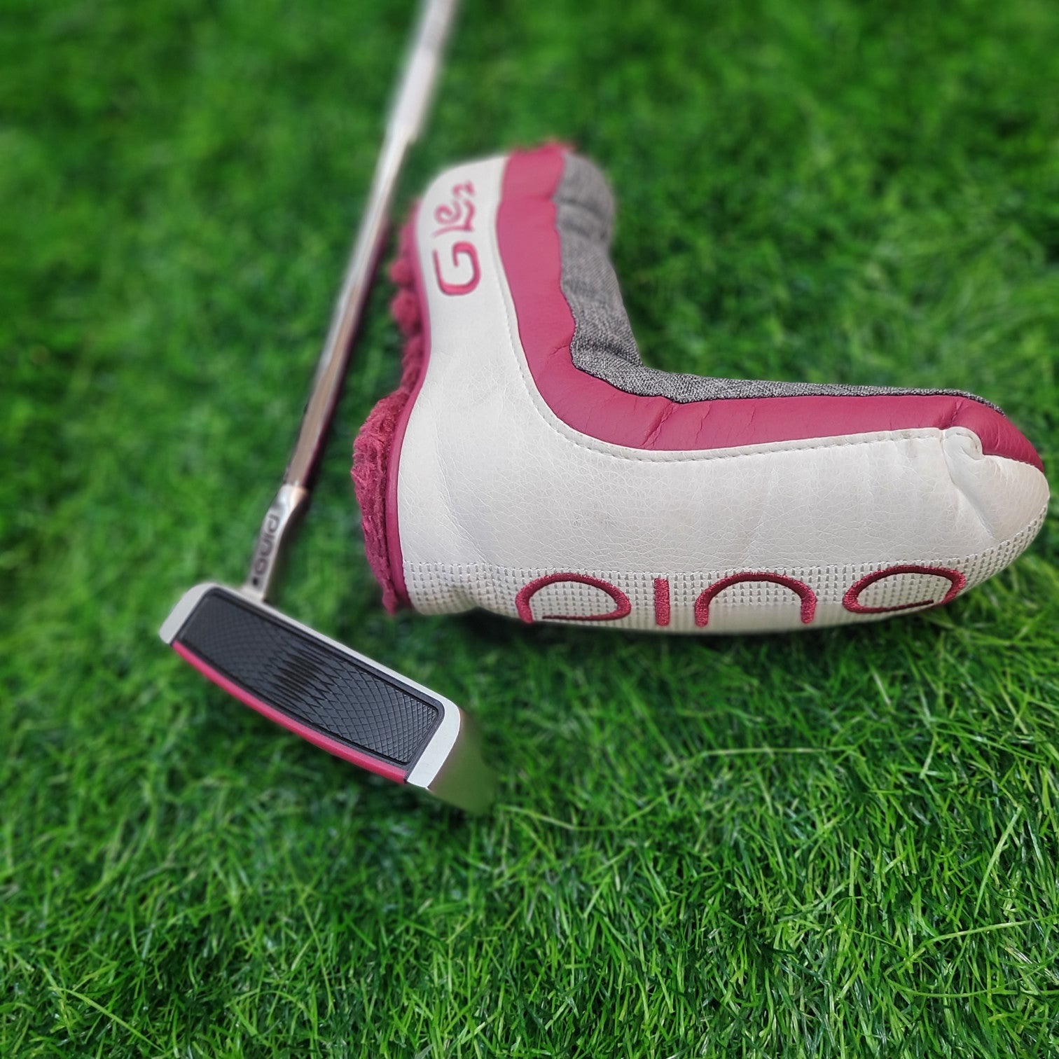 PING Putter / G Le2 SHEA / 32"/ Women / Lefty
