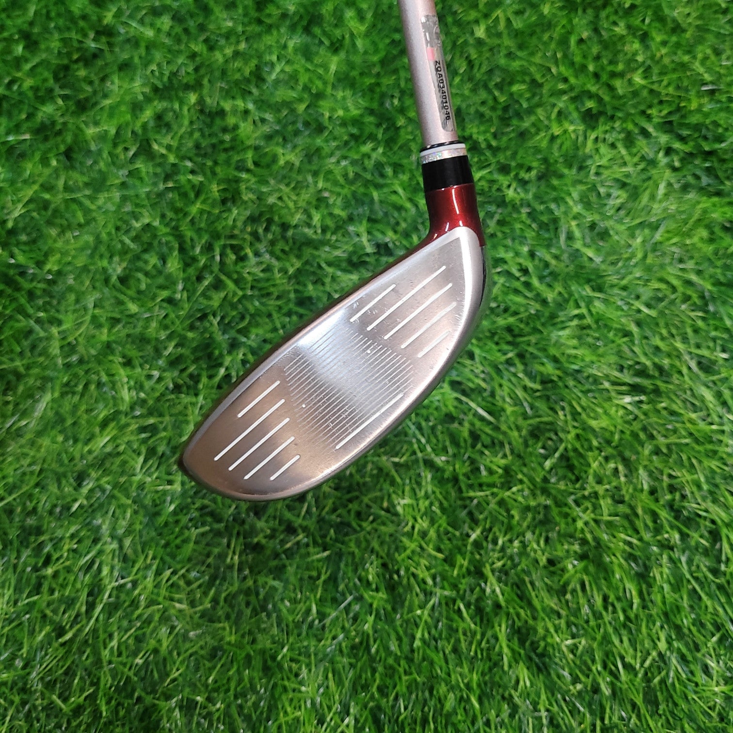 XXIO Wood / XXIO 11 / 3W / 16.0 / Women