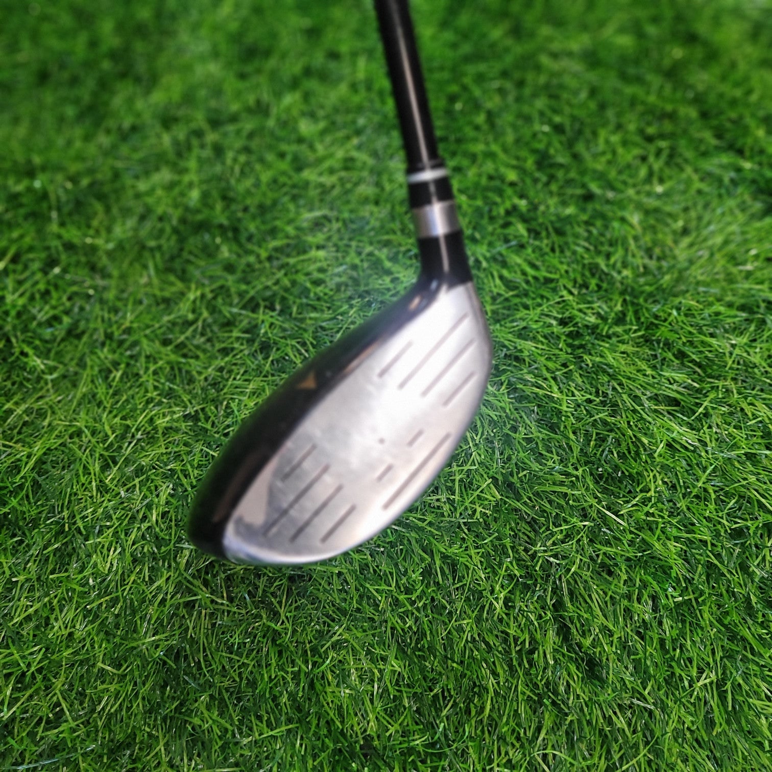 DELFINO Wood / Super steel / 5W / R