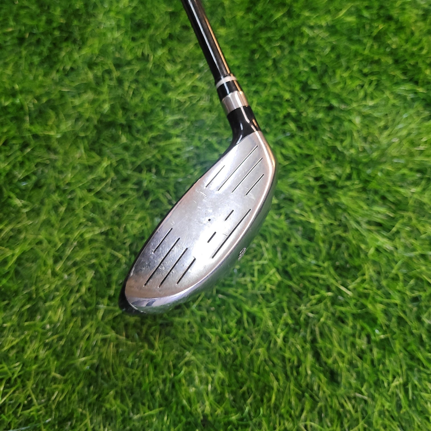 DELFINO Wood / Super steel / 5W / R
