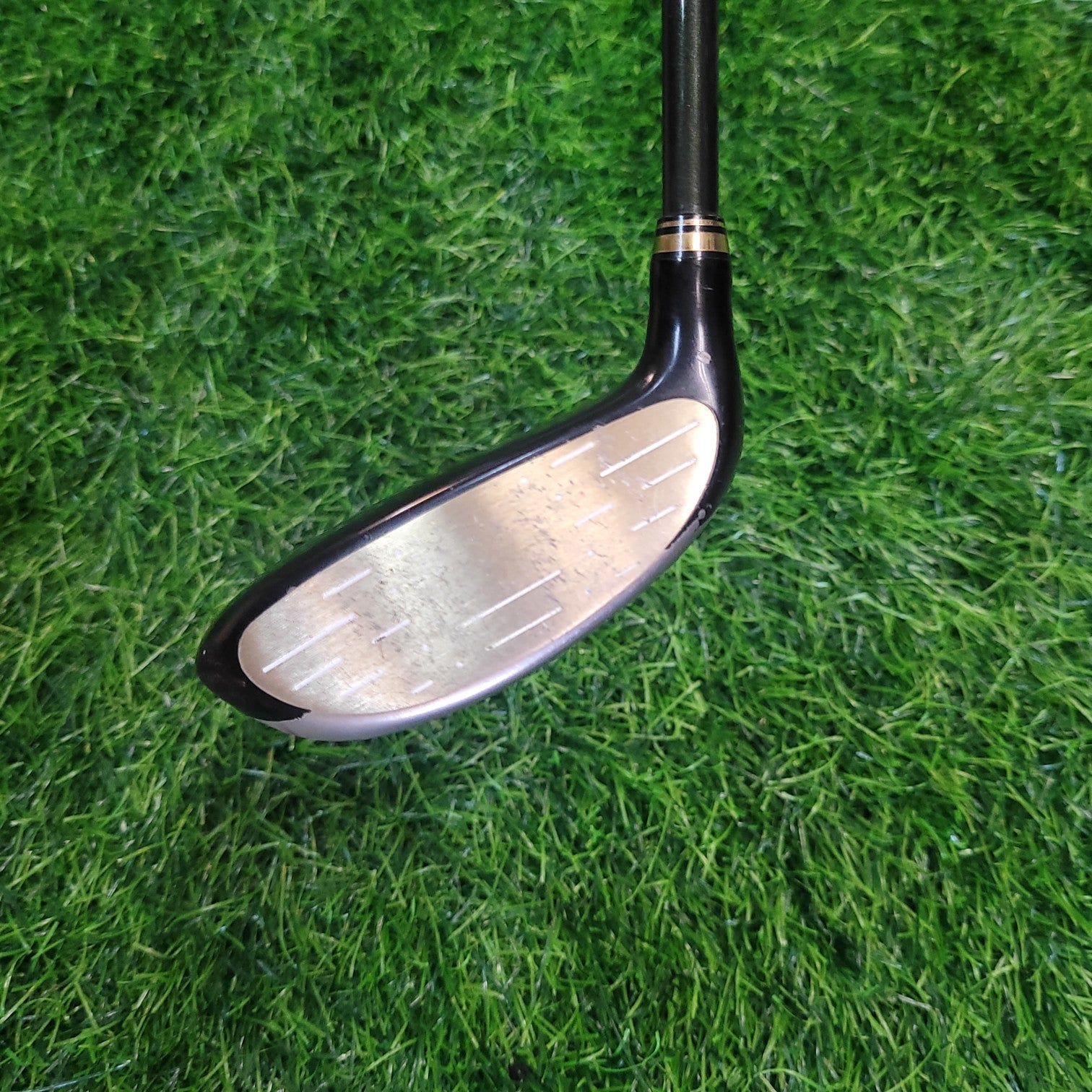 XXIO Wood / XXIO 7 PRIME / 4W / 16.5 / R