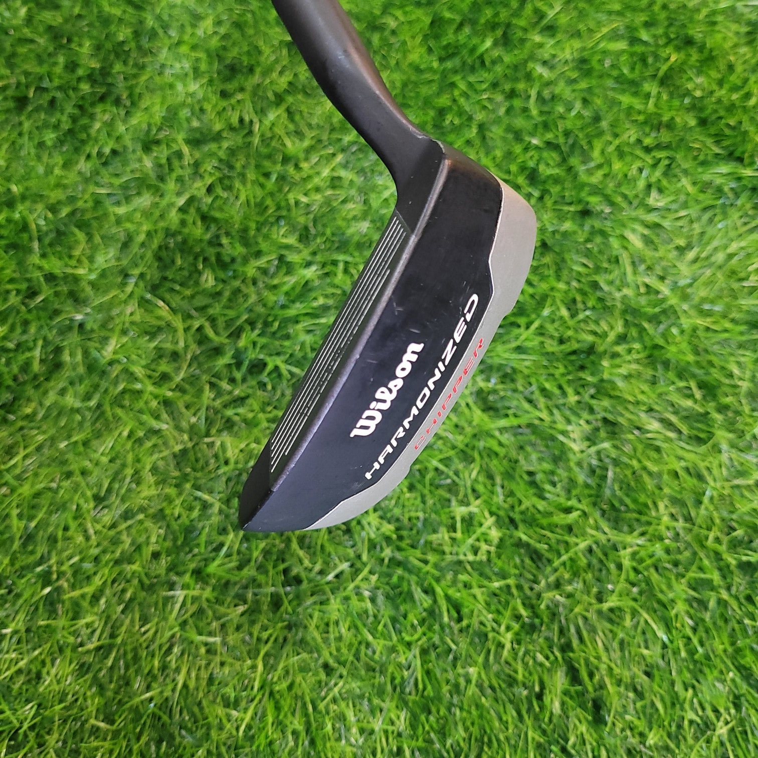 Wilson Wedge / HAMONIZED / Chipper