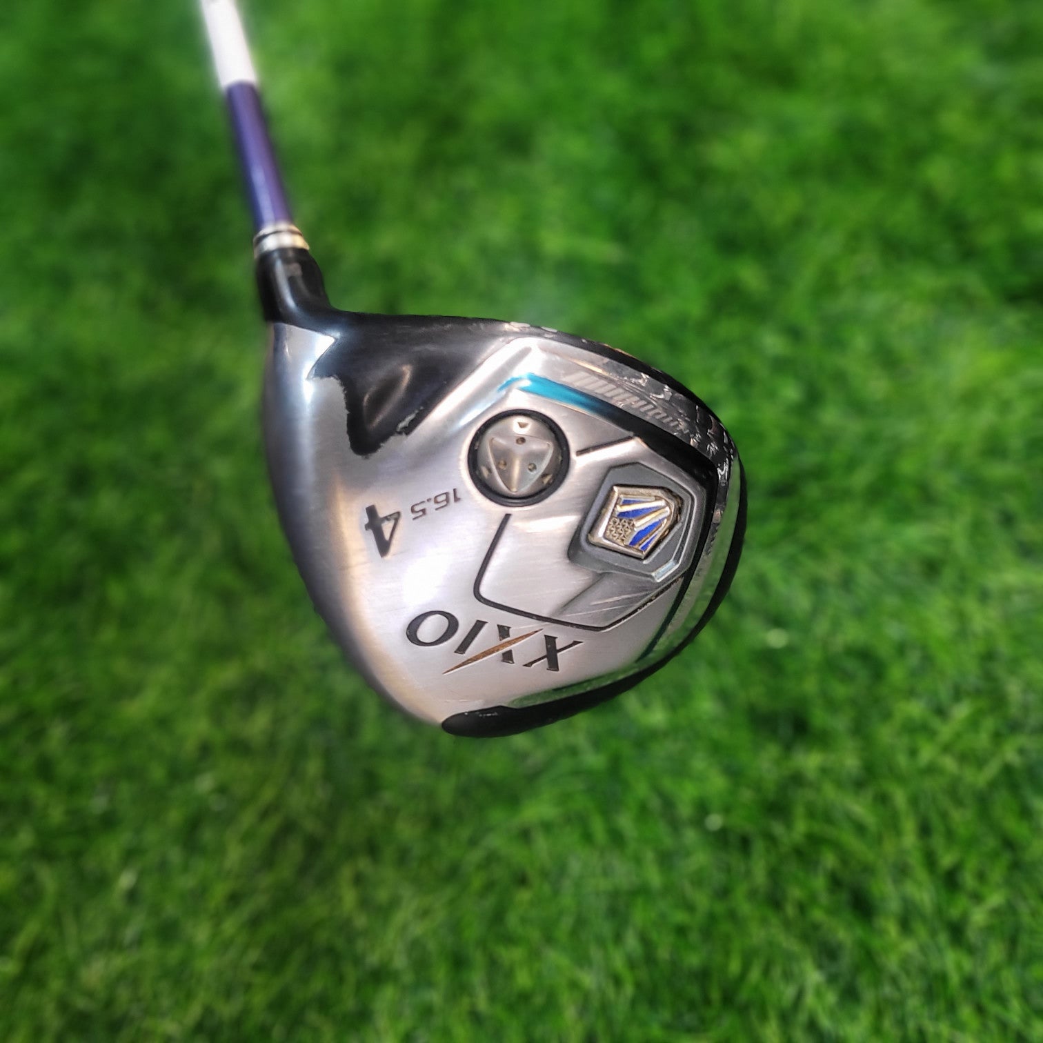 XXIO Wood / XXIO 8 / 4W / 16.5 / R