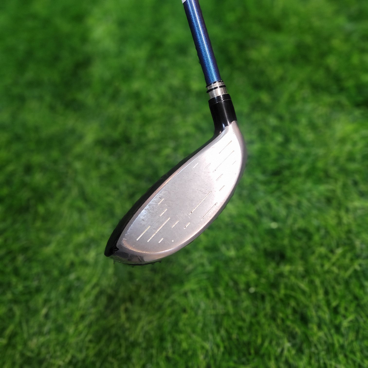 XXIO Wood / XXIO 8 / 4W / 16.5 / R