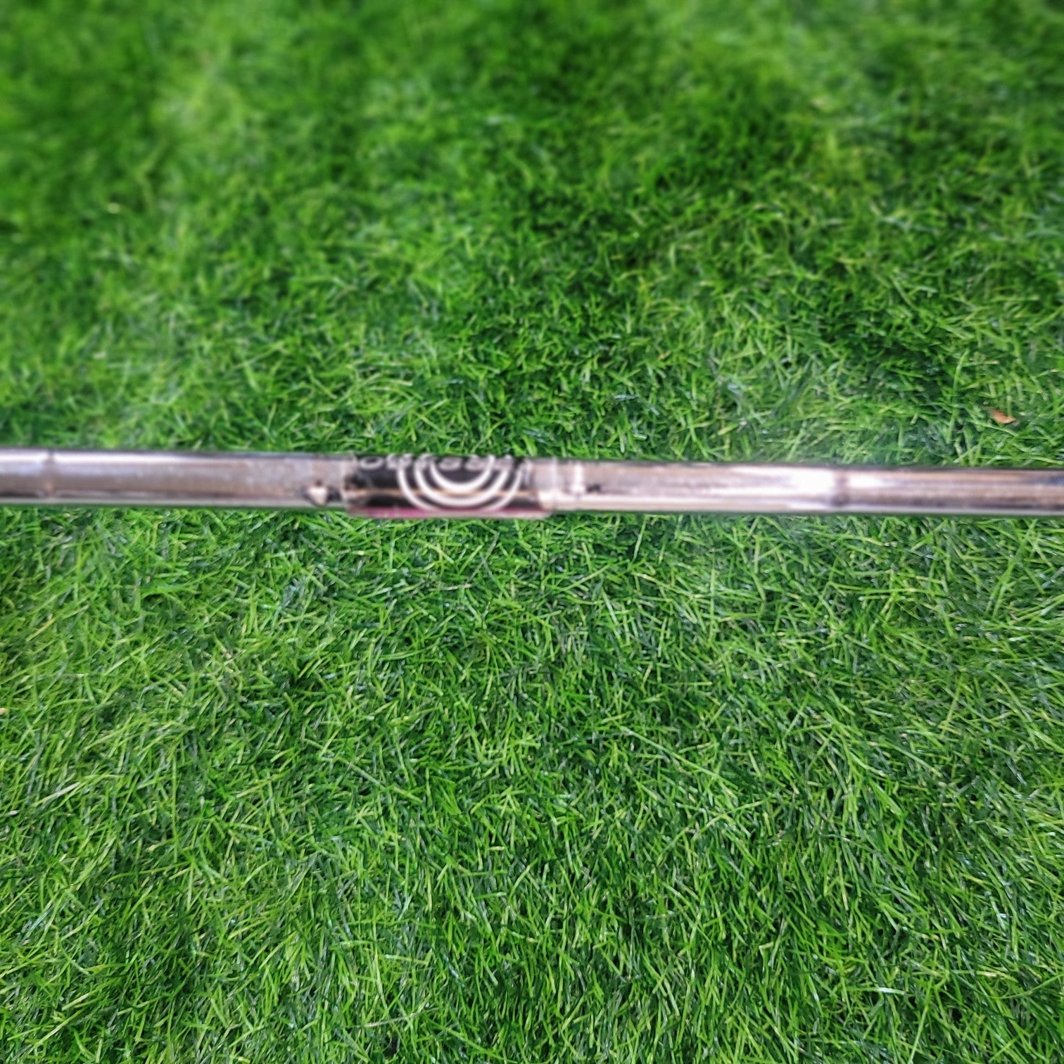 Odyssey Putter / Divine Blade(Pink) / 32" / Women