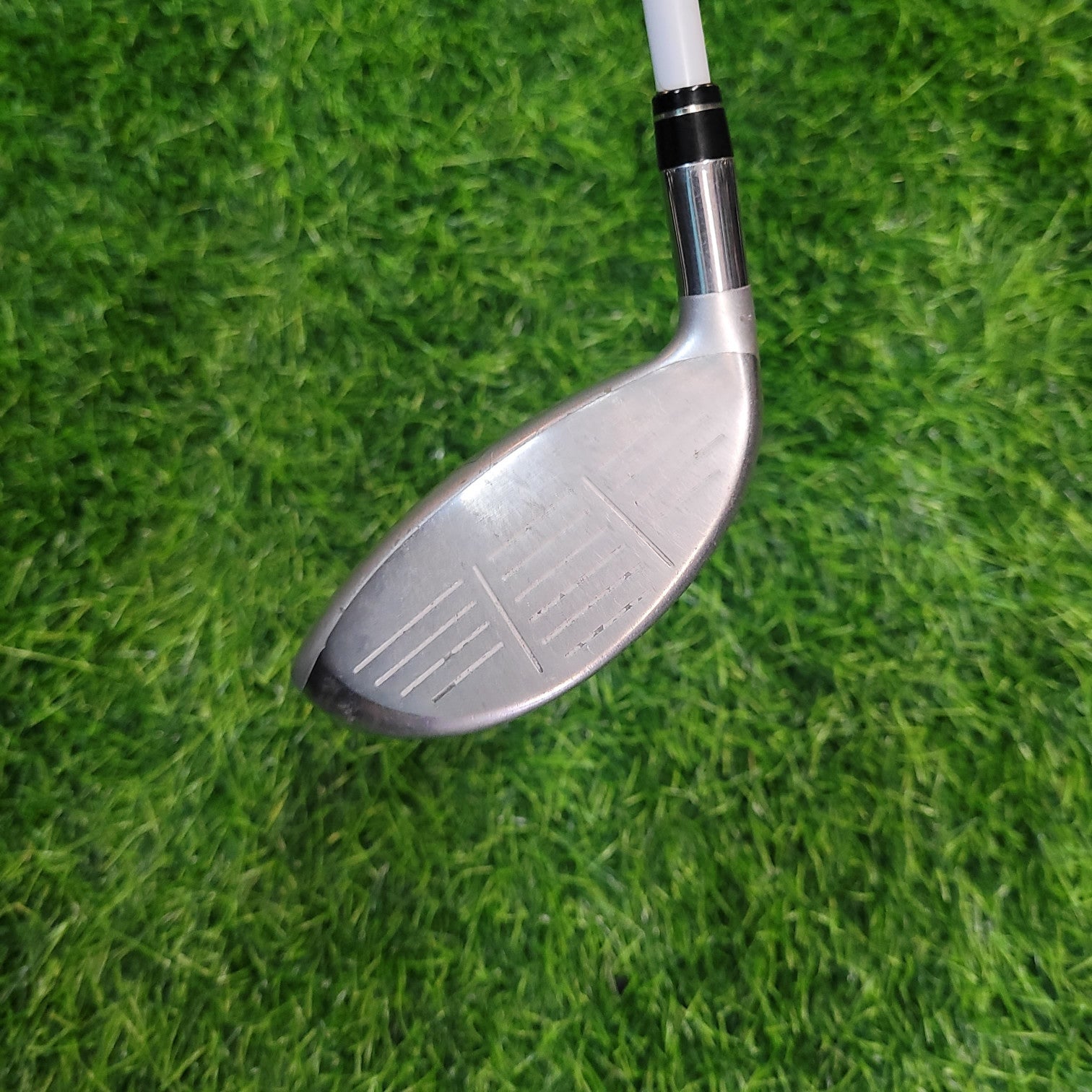 Callaway Wood  / filly / 4W / Women