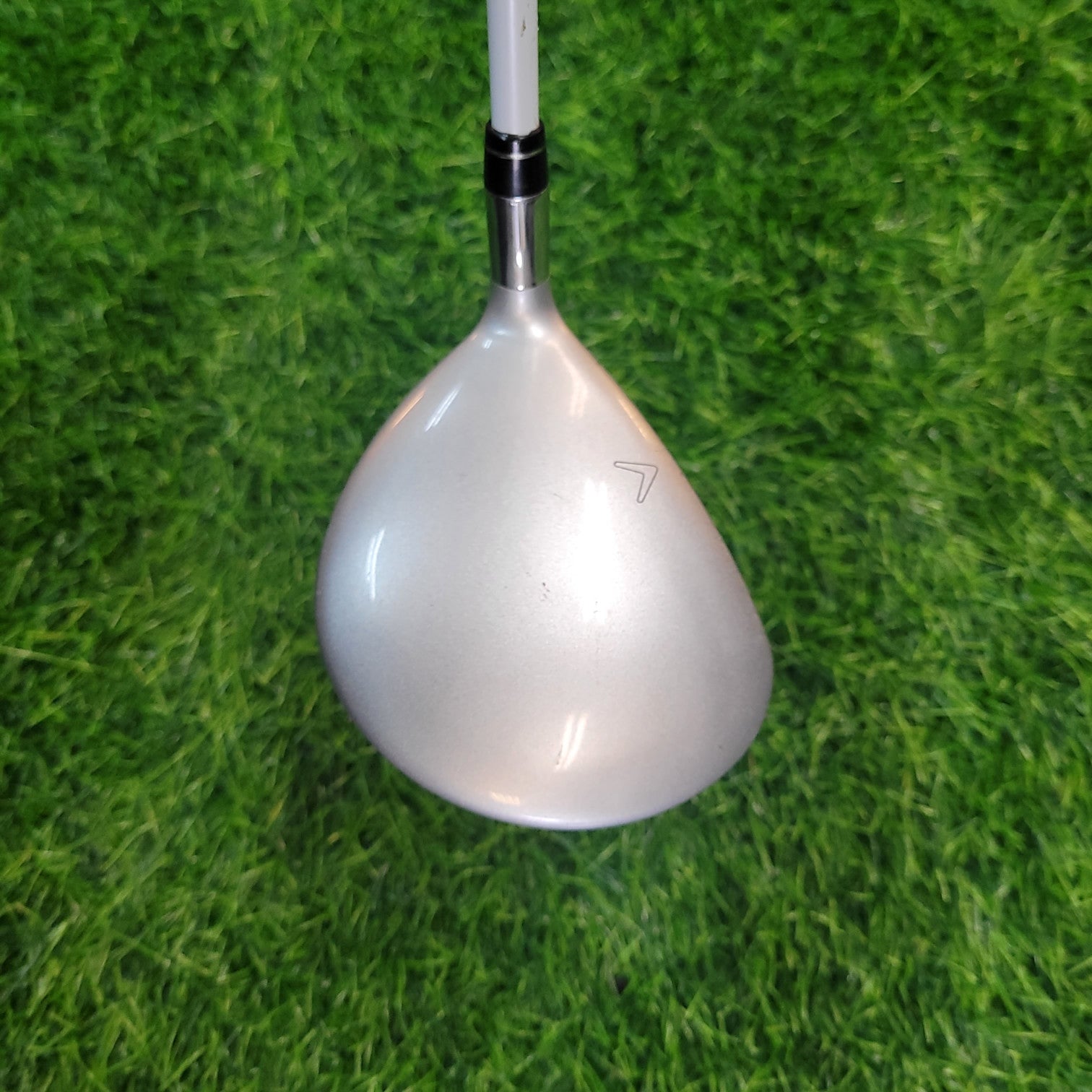 Callaway Wood  / filly / 4W / Women