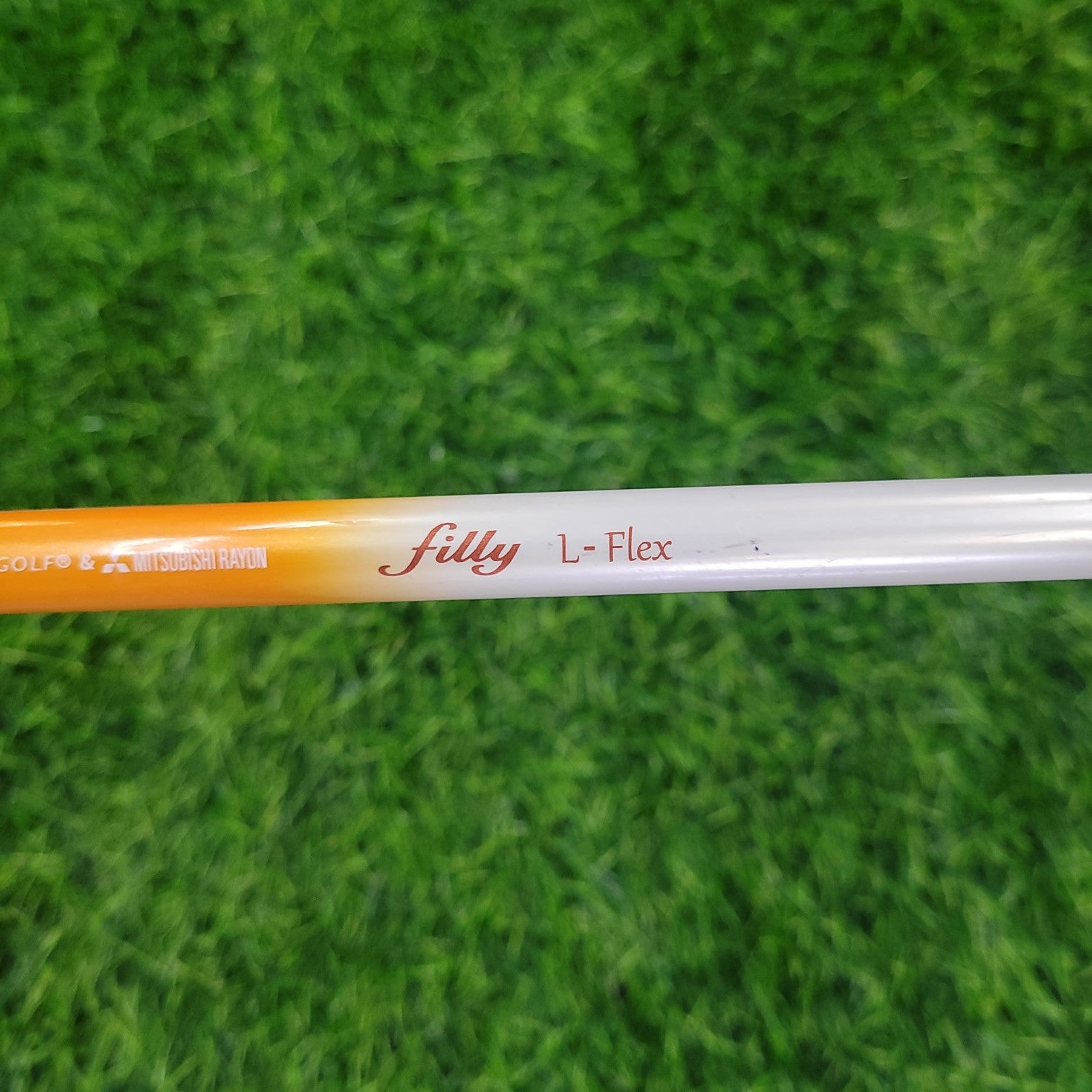 Callaway Wood  / filly / 4W / Women