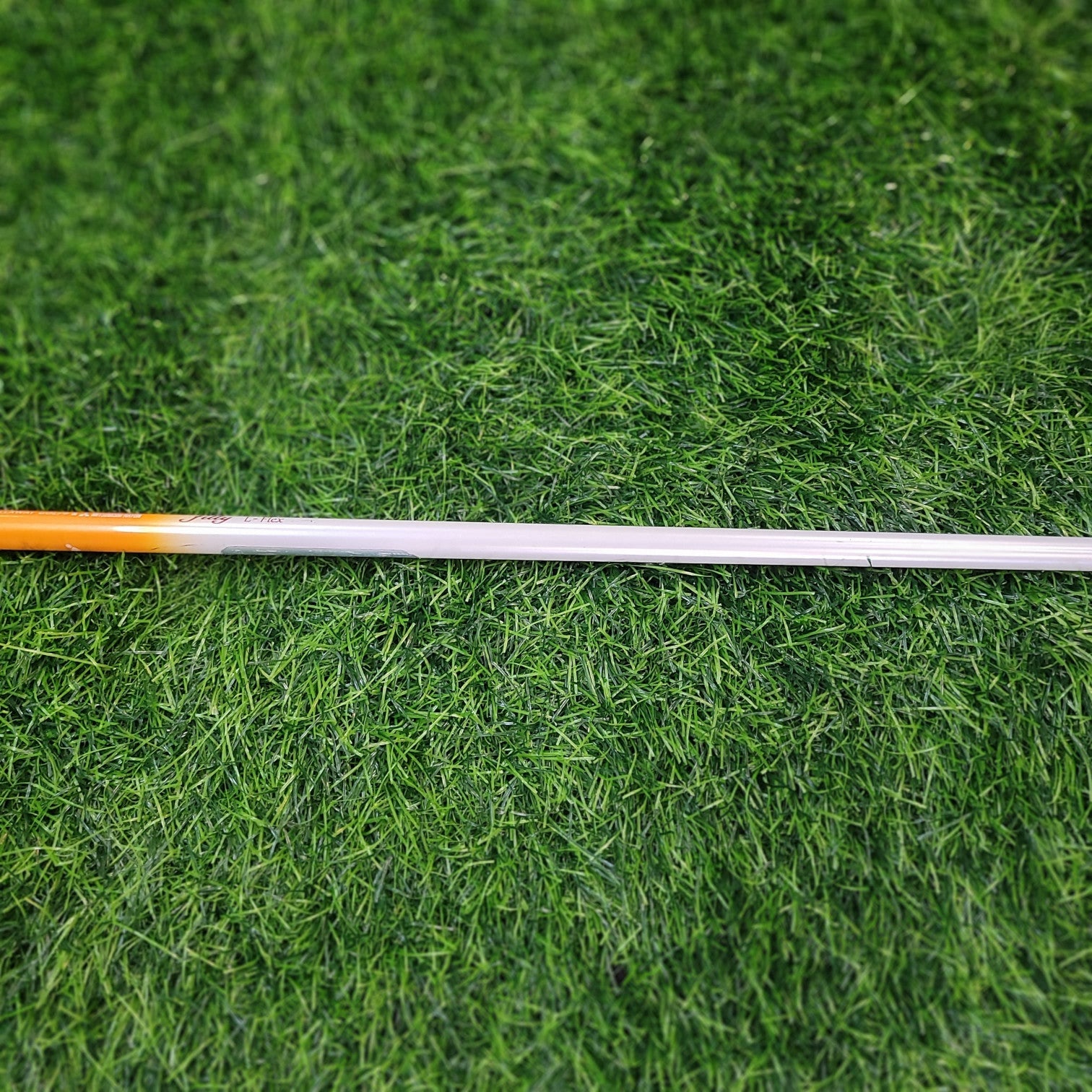 Callaway Wood  / filly / 4W / Women