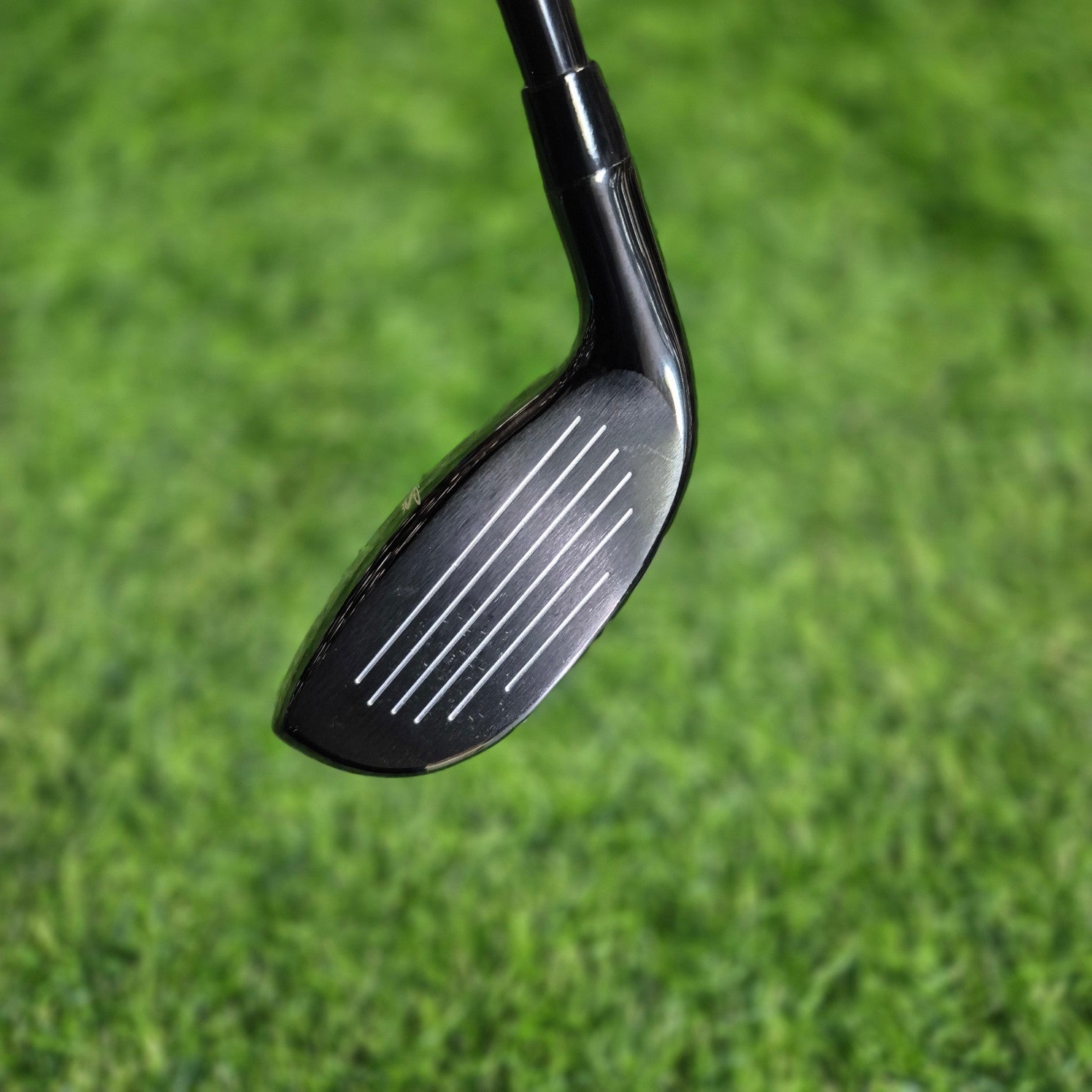 Cobra Hybrid / T-RAIL / 5H(25.0) / R