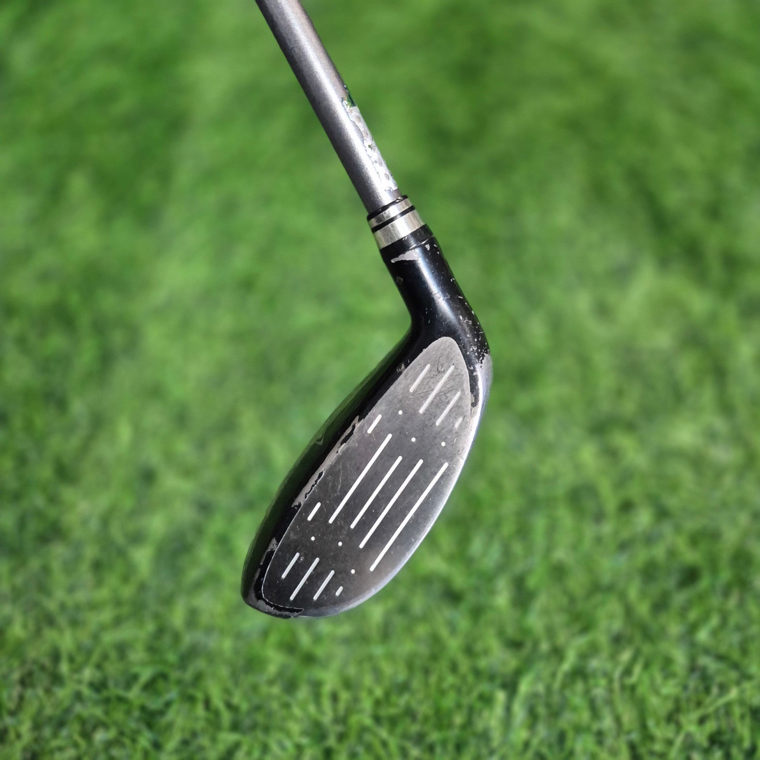 XXIO  Wood / XXIO 7 / 7W(20.0) / R