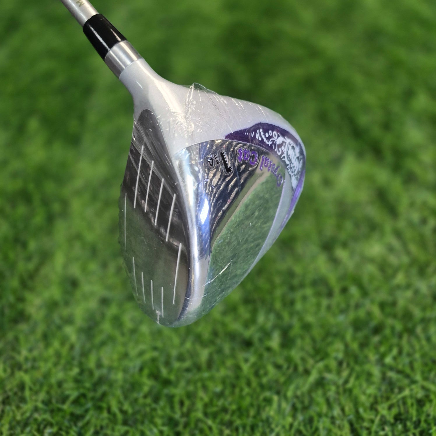 LYNX Driver / Crystal Cat / 14.0 / Women (New)