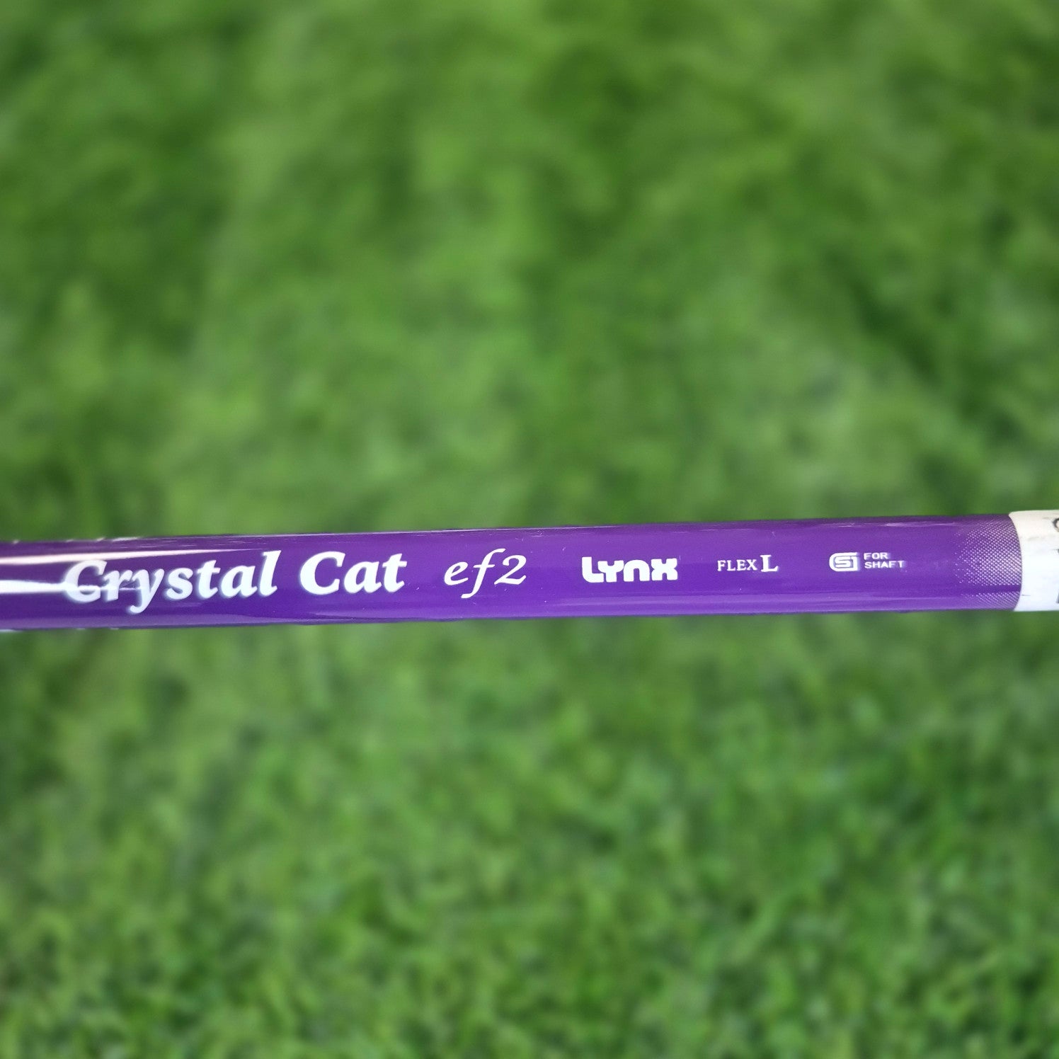 LYNX Driver / Crystal Cat / 14.0 / Women (New)