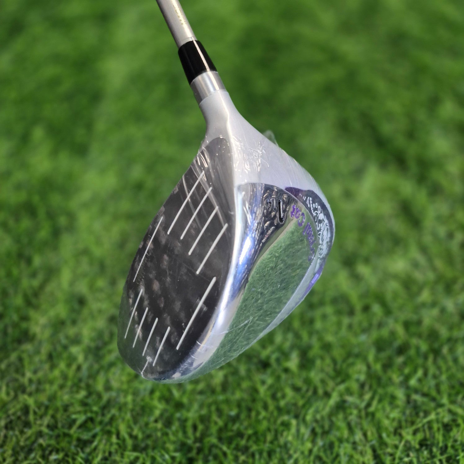 LYNX Driver / Crystal Cat / 14.0 / Women (New)