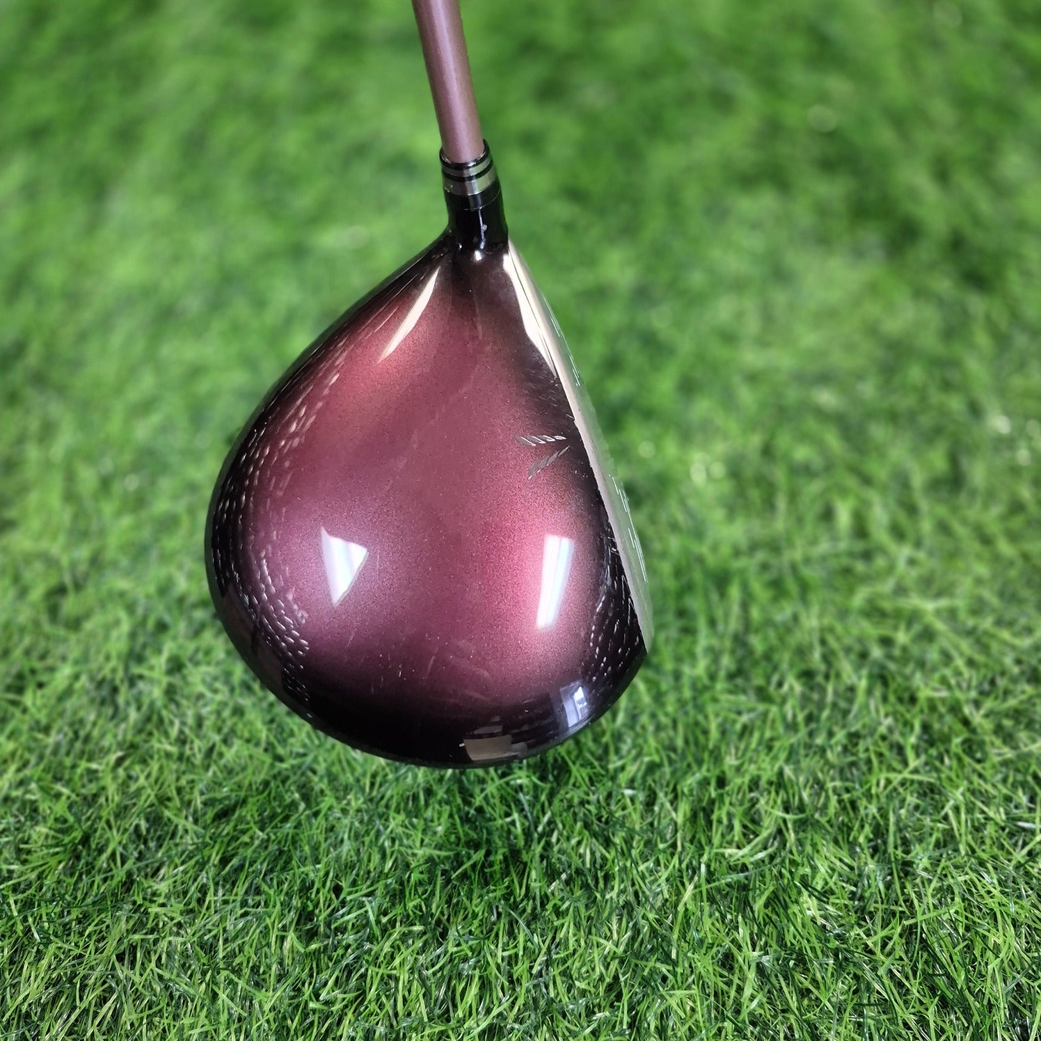 XXIO Driver / XXIO (Bordeaux) / Women / A