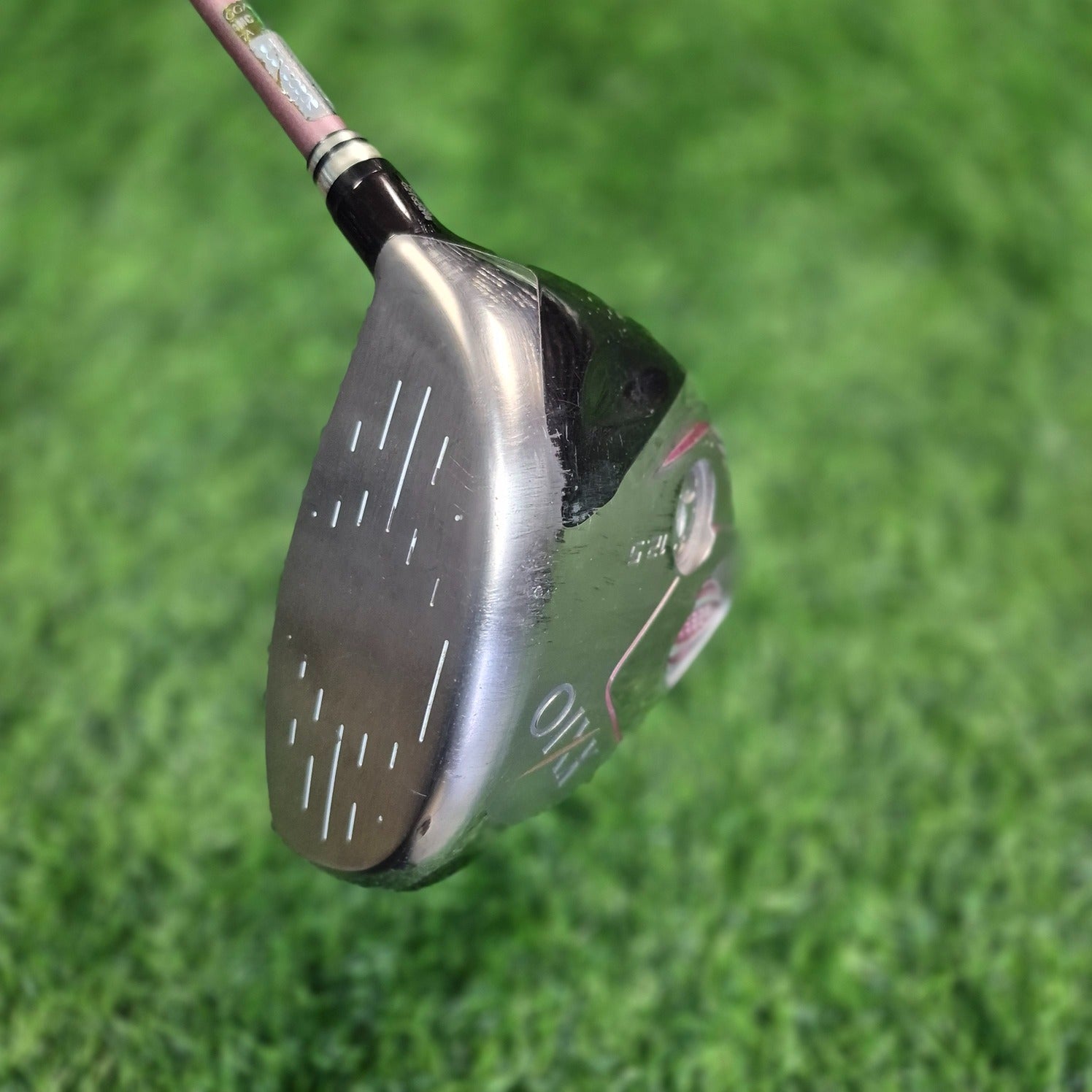 XXIO Driver / XXIO (Bordeaux) / Women / A