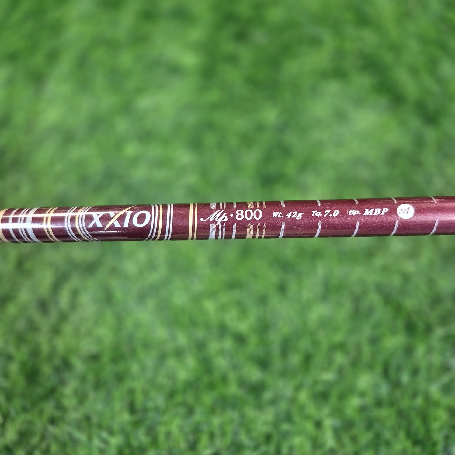 XXIO Driver / XXIO (Bordeaux) / Women / A