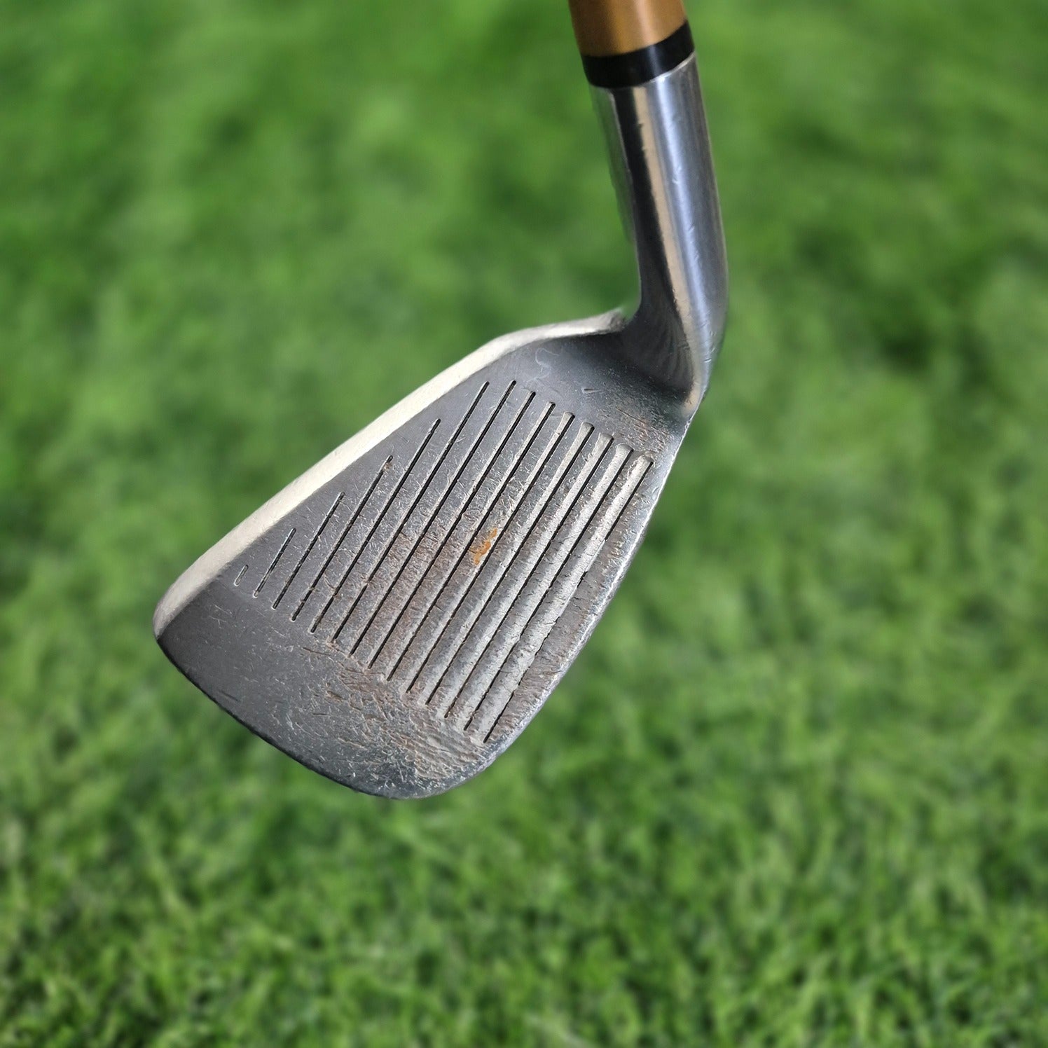 HONMA Wedge / NEW LB-280 / SW