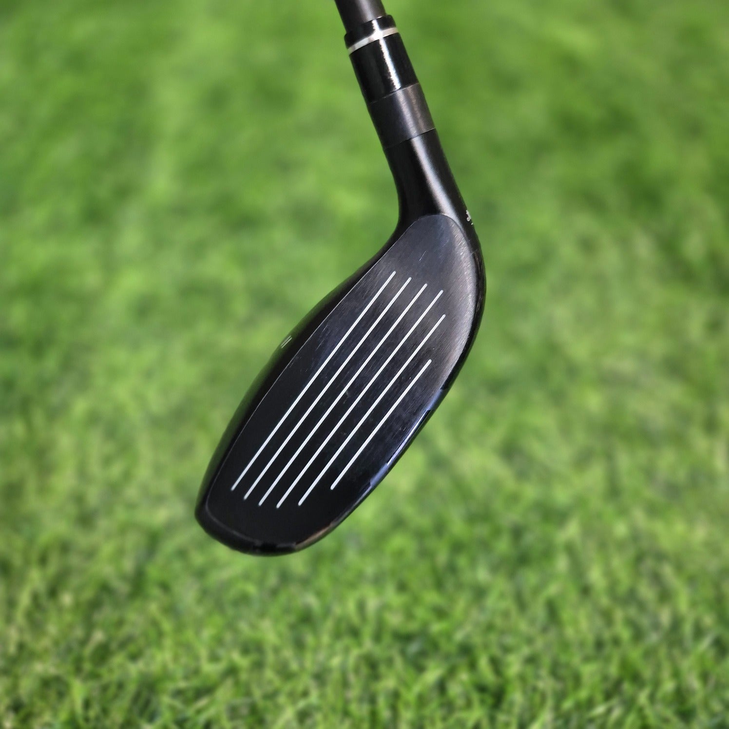 HONMA Hybrid / TW 767 / 5H (24.0) / R (Like New)
