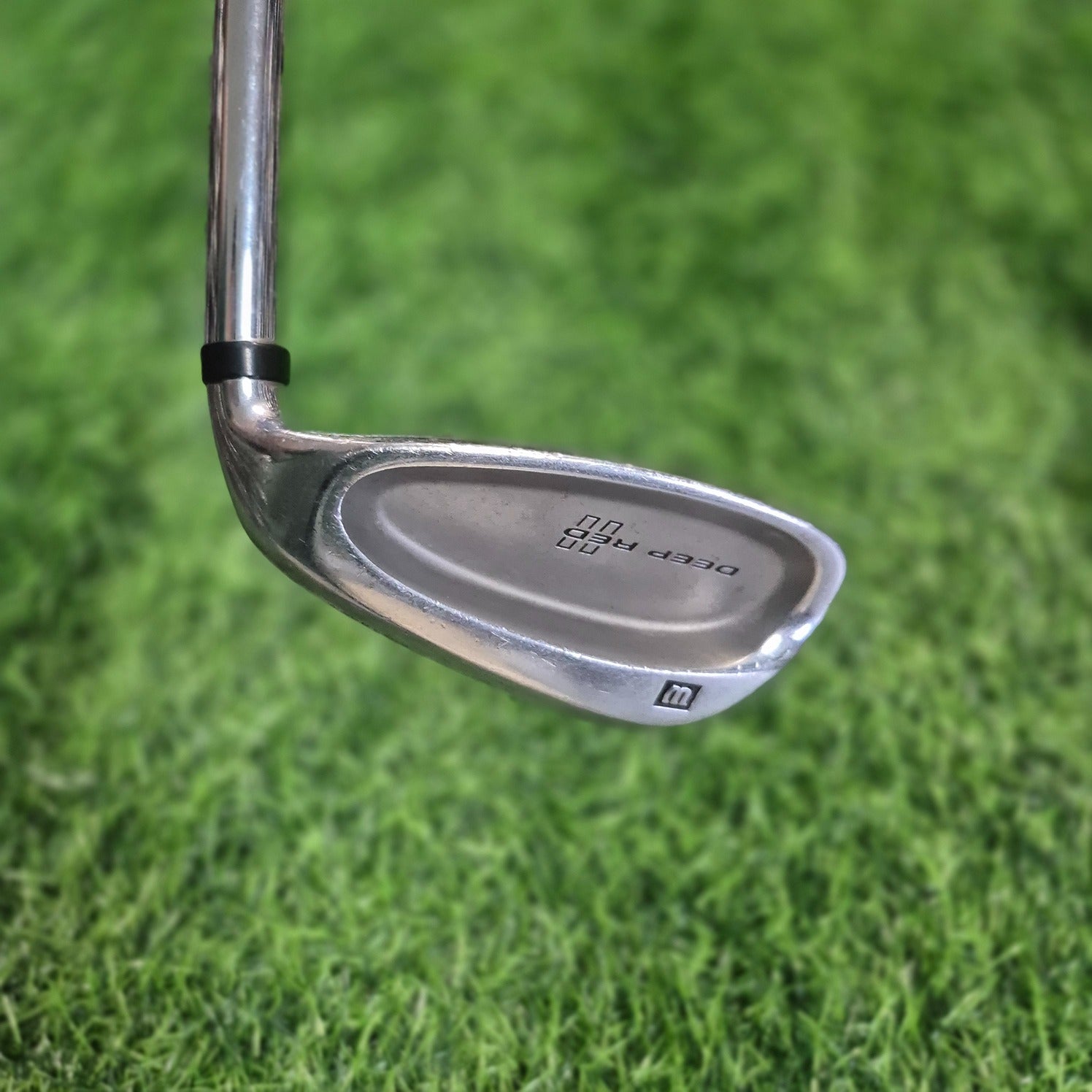 Wilson Wedge / DEEP RED / AW(GW)