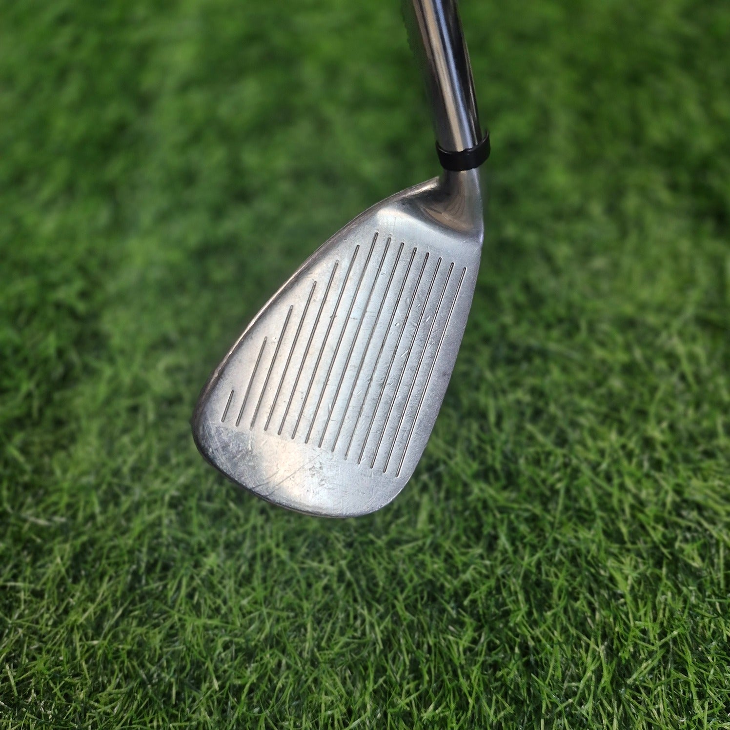 Wilson Wedge / DEEP RED / AW(GW)