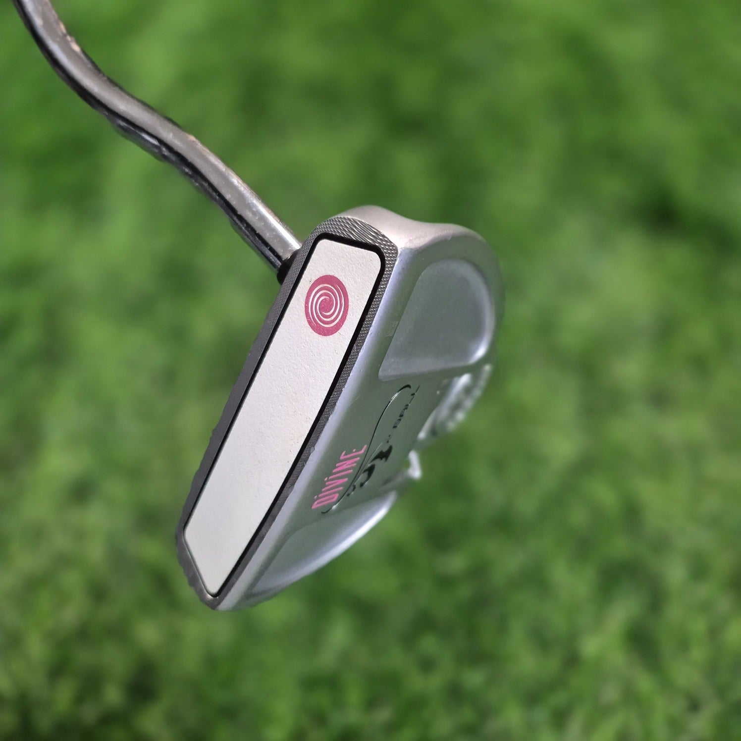 Odyssey Putter / DIVINE LINE 2BALL / 32 " / Women