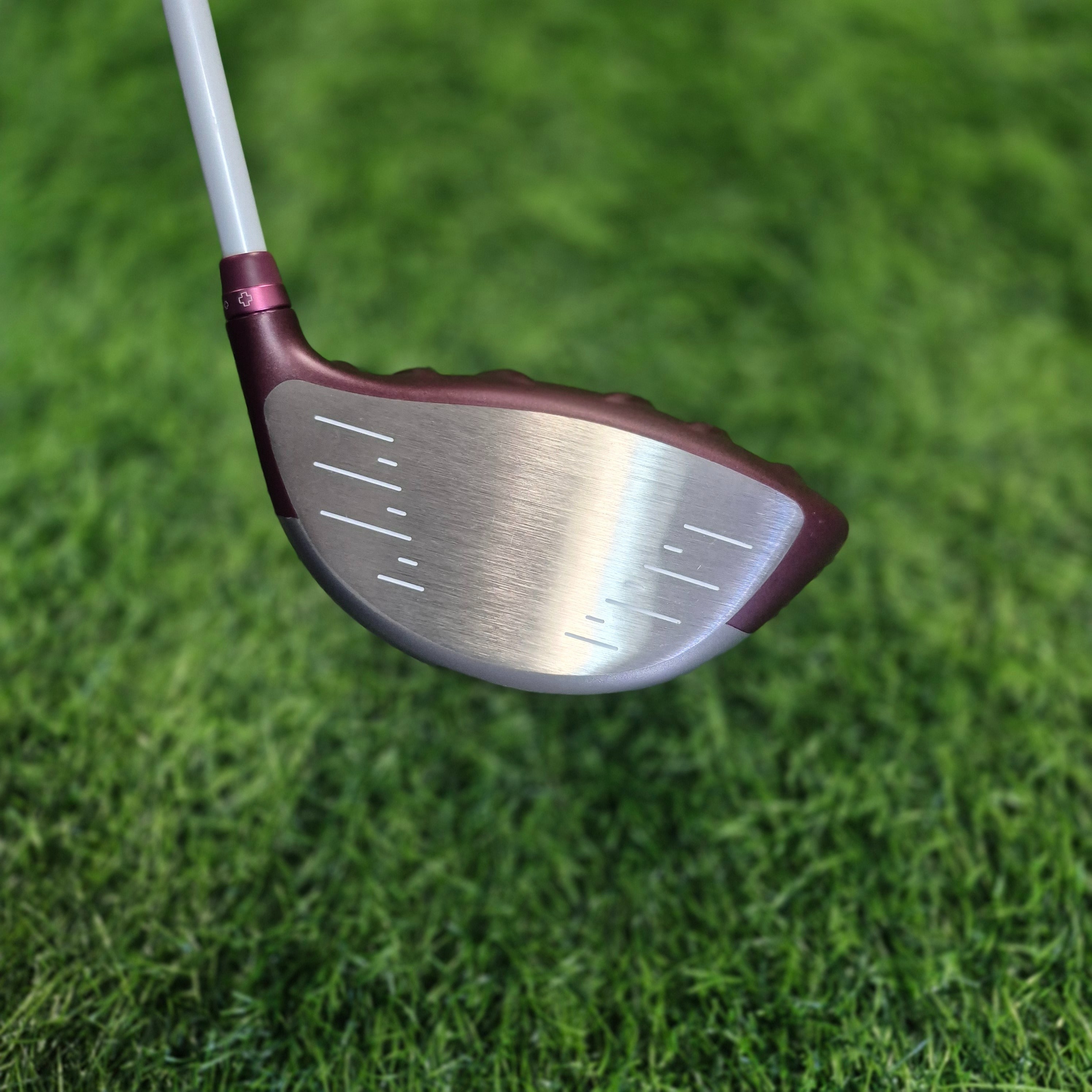 PING Driver / GLe2 / 11.5 / Women / Lefty / A