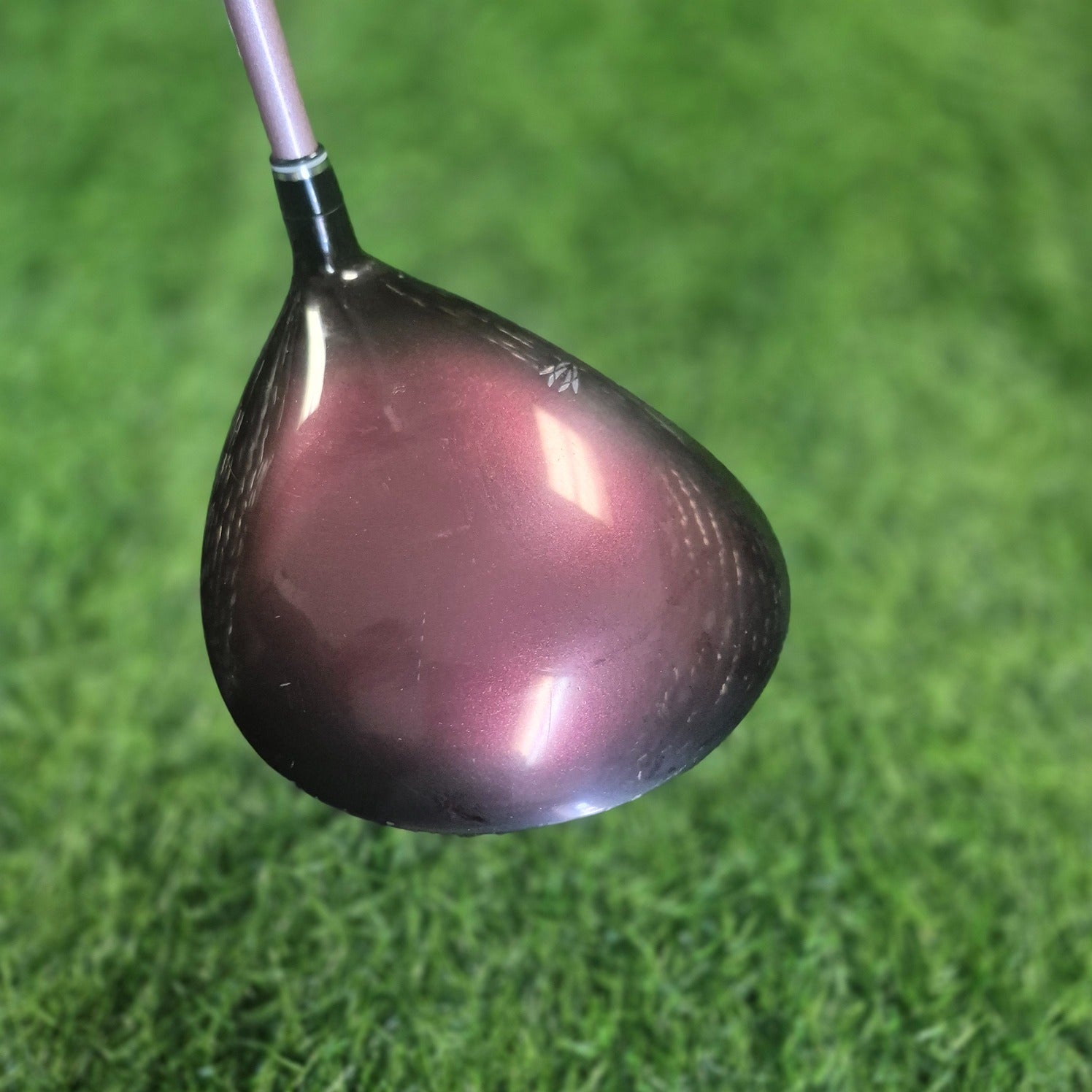 XXIO Driver / XXIO 10 / 12.5° /  Women