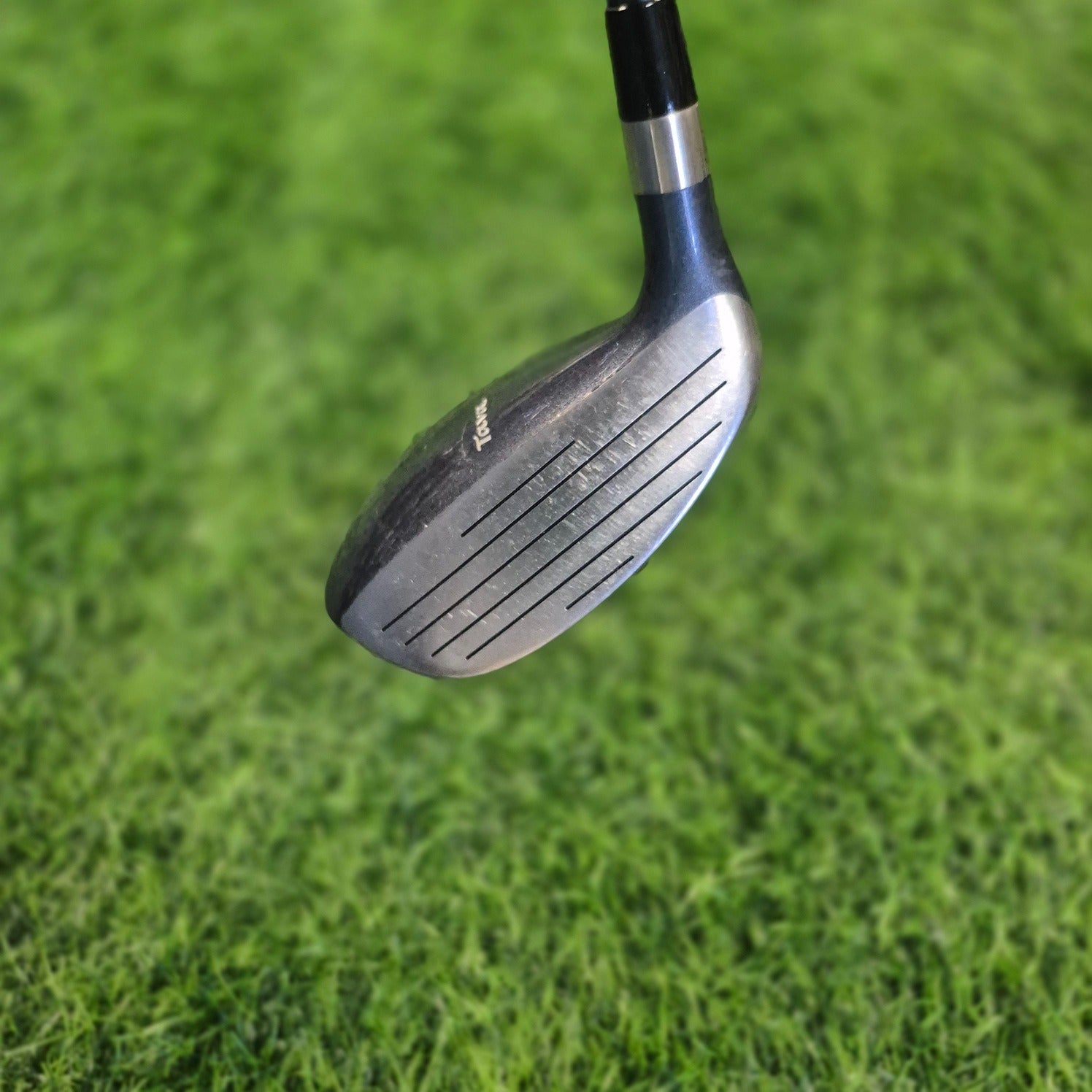 Mizuno Wood / TAVA / 3W / Women