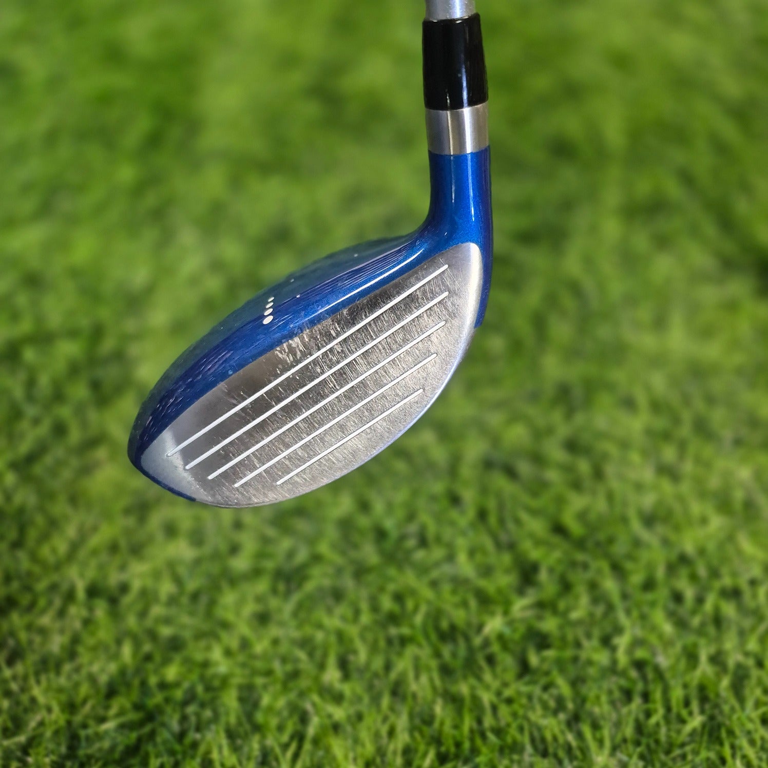 Mizuno Wood / Zephyr ZL-02 / 7W / Women