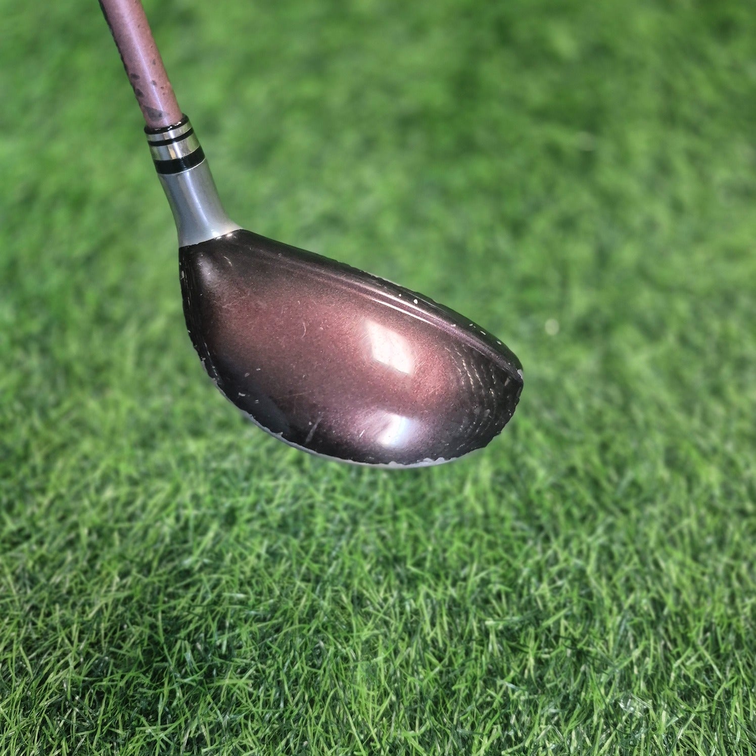 XXIO Hybrid / XXIO 8 / H5(25.0) / Women