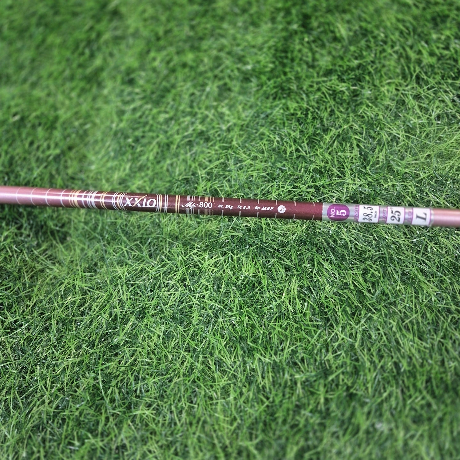 XXIO Hybrid / XXIO 8 / H5(25.0) / Women