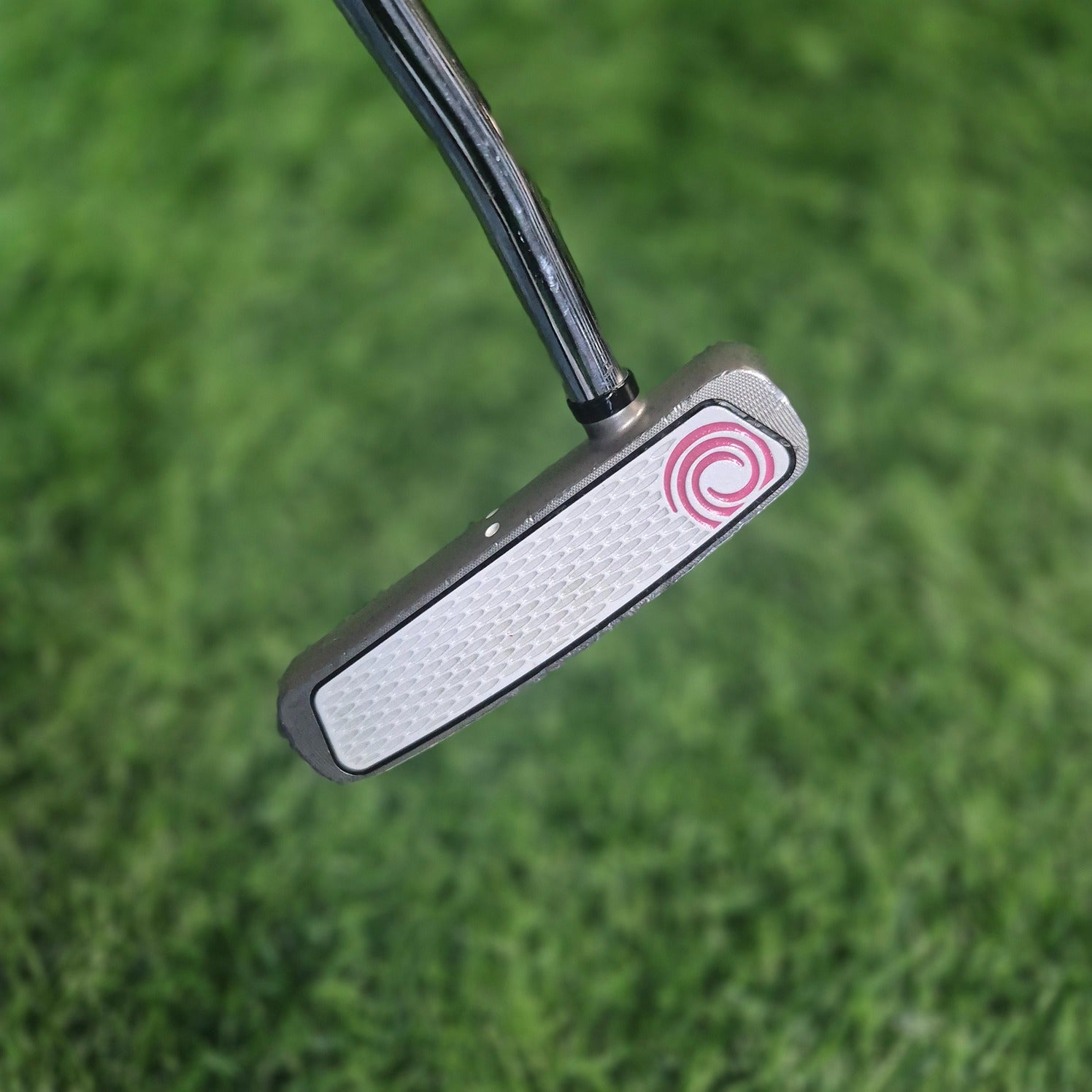 Odyssey Putter / WHITE HOT RX V-LINE FANG / 32" / Women