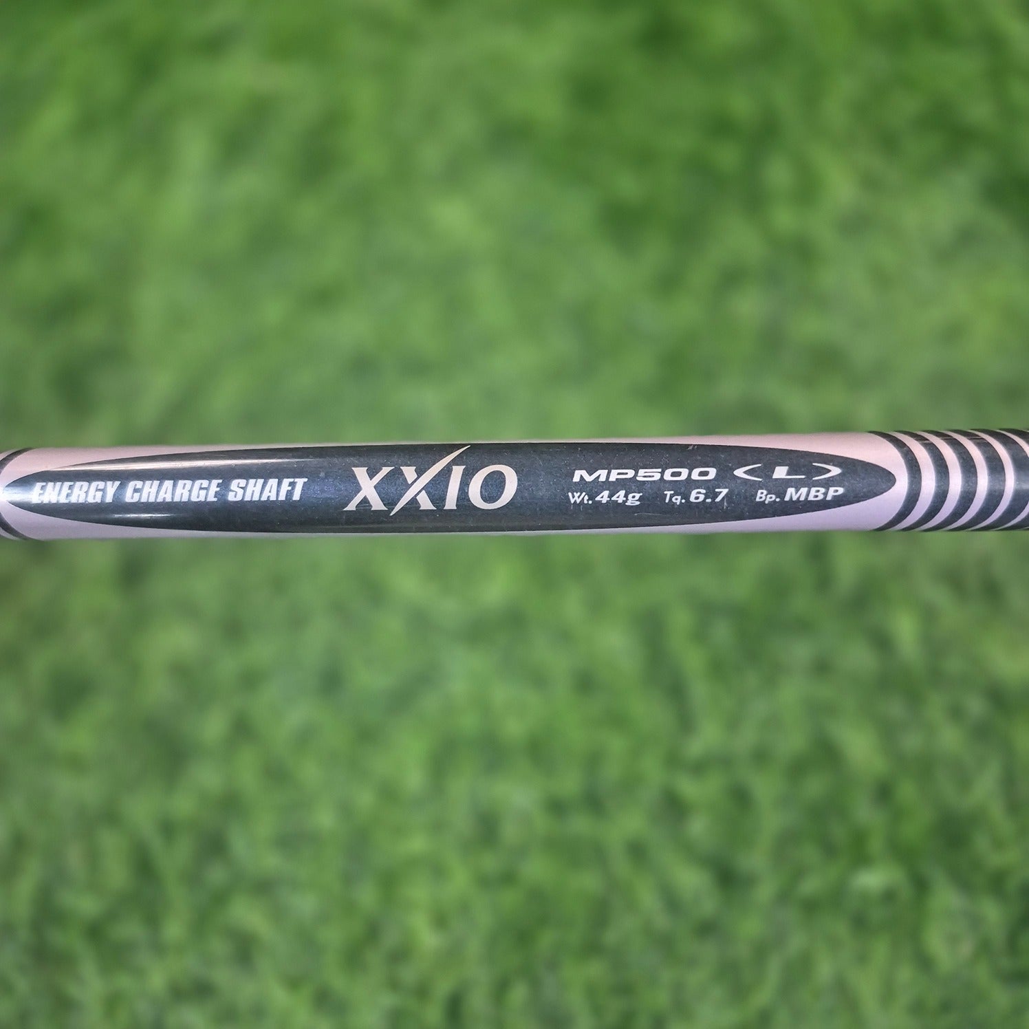 XXIO Wood / XXIO 5 / 5W(20.0) / Women