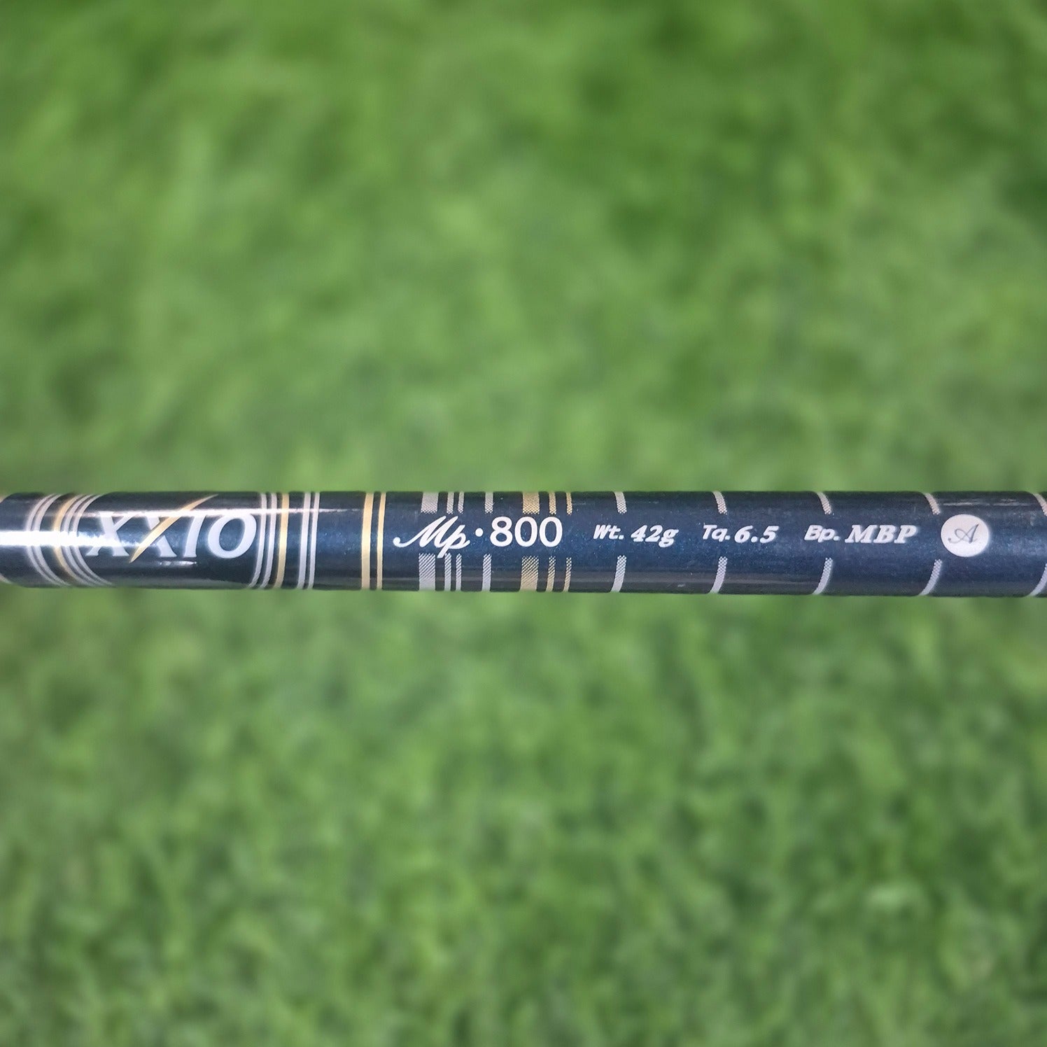 XXIO Wood / XXIO 8 / 5W(20.0) / Women / A