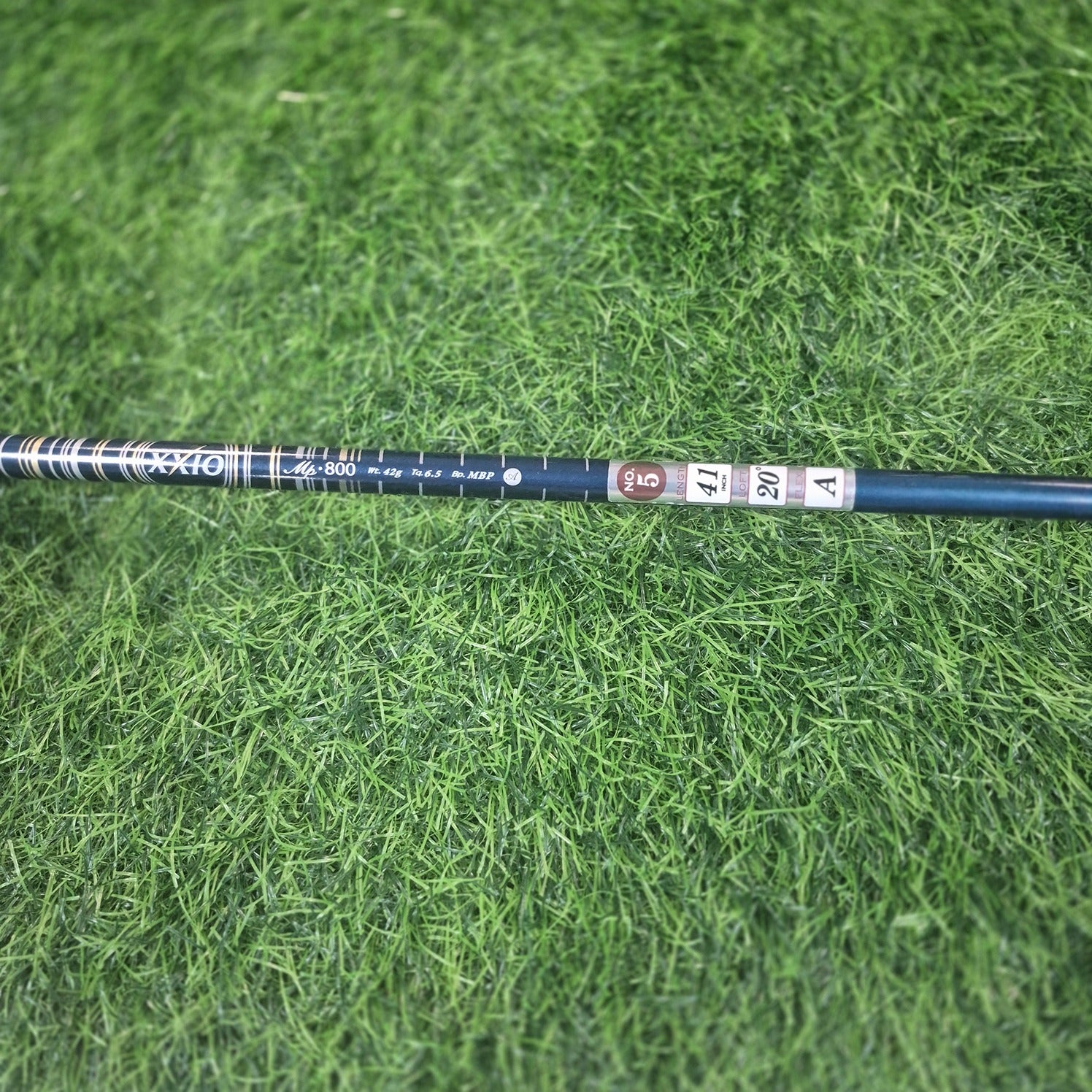 XXIO Wood / XXIO 8 / 5W(20.0) / Women / A