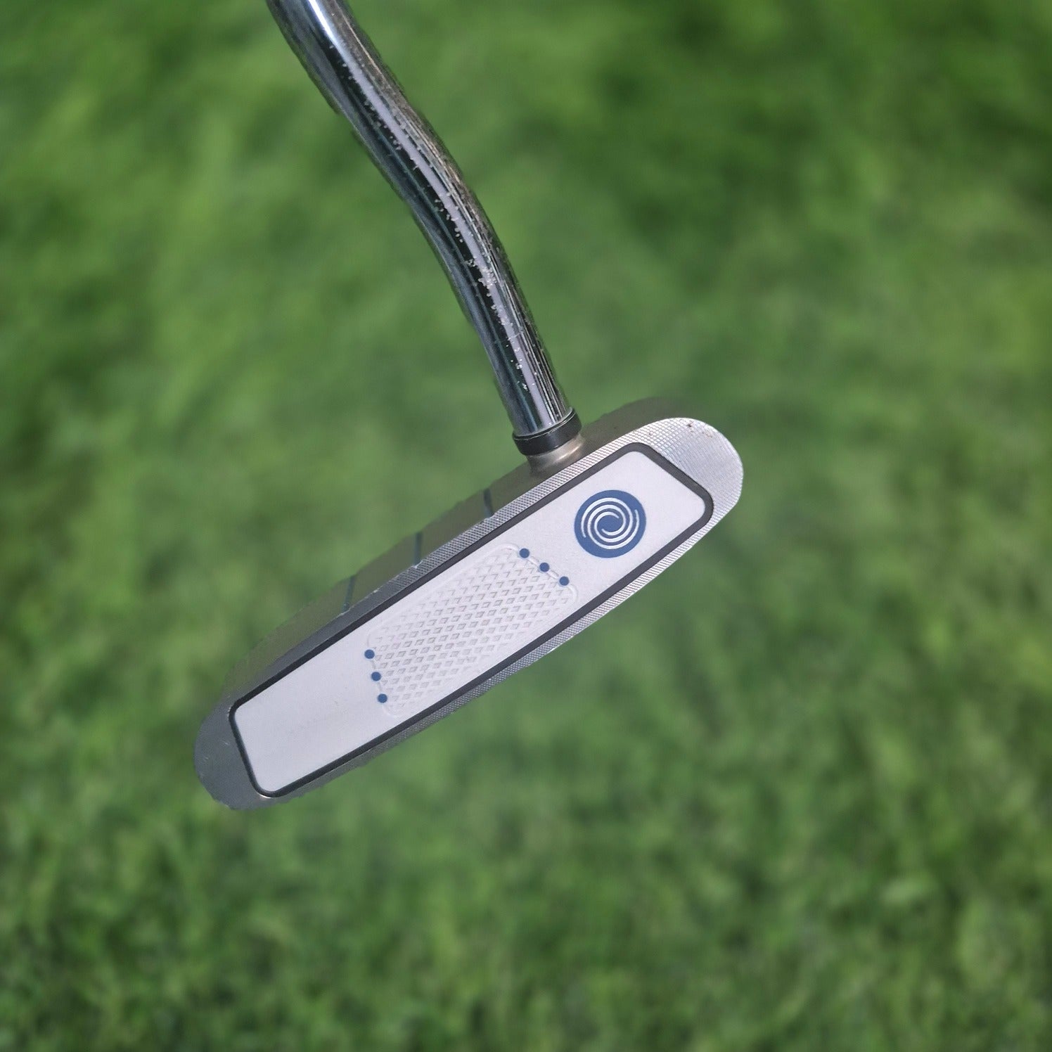 Odyssey Putter / DIVINE LINE ROSSIE / 32" / Women